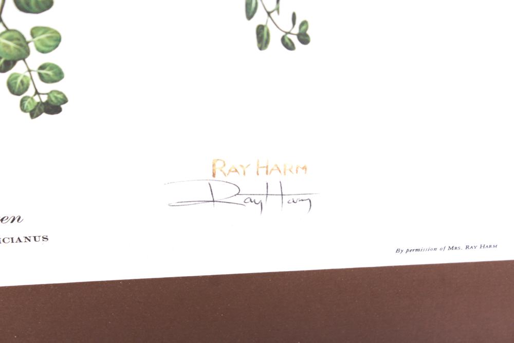 Ray Harm Signed "Carolina Wren" Offset Lithograph Print