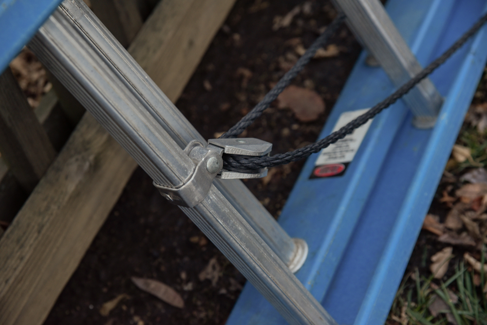 20' Werner Extension Ladder