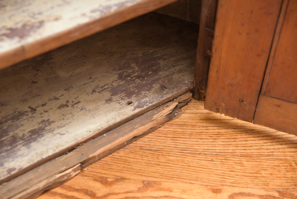 Early Federal Butternut Barrel-Back Cupboard