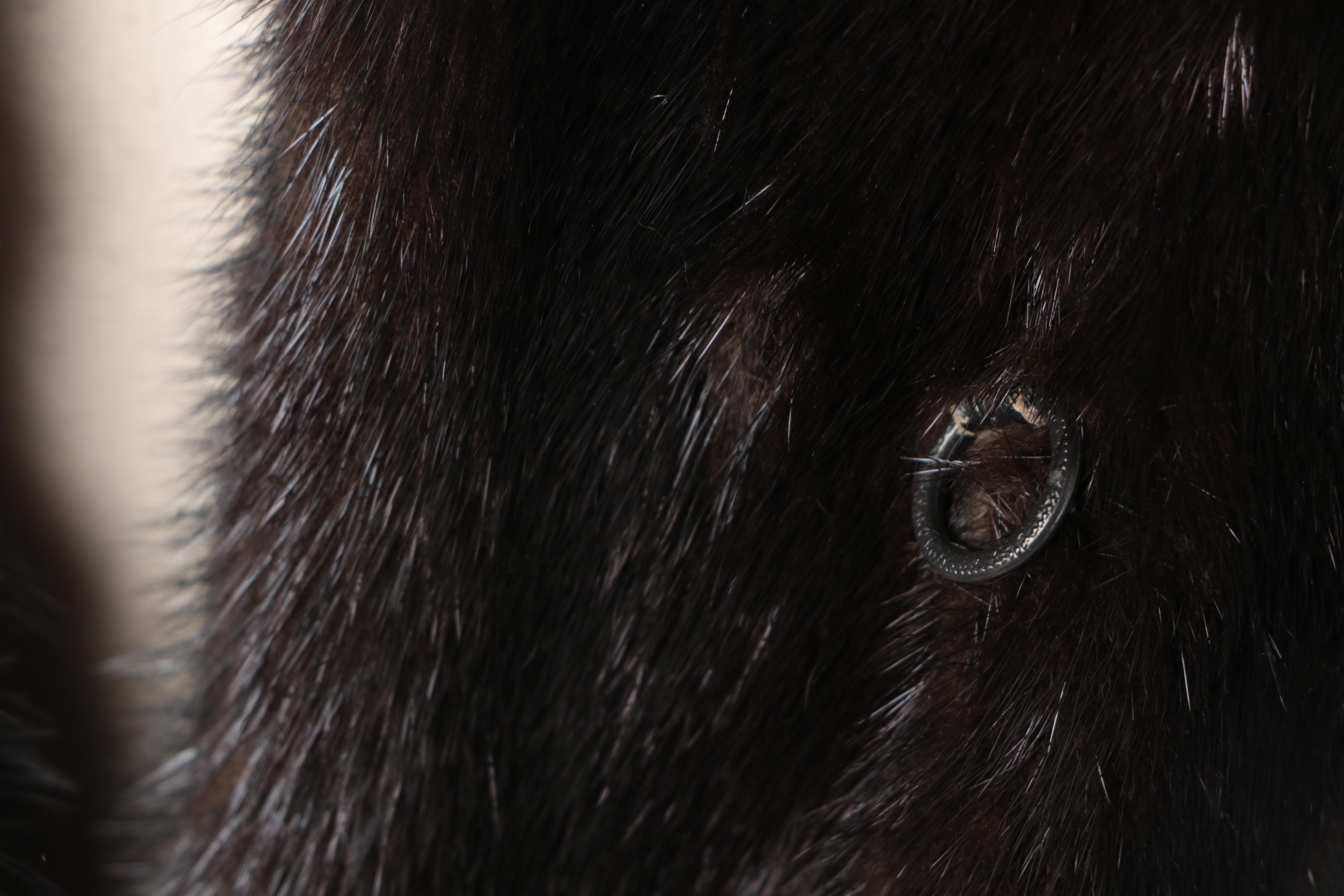 Vintage Revillon Ranch Mink Fur Coat