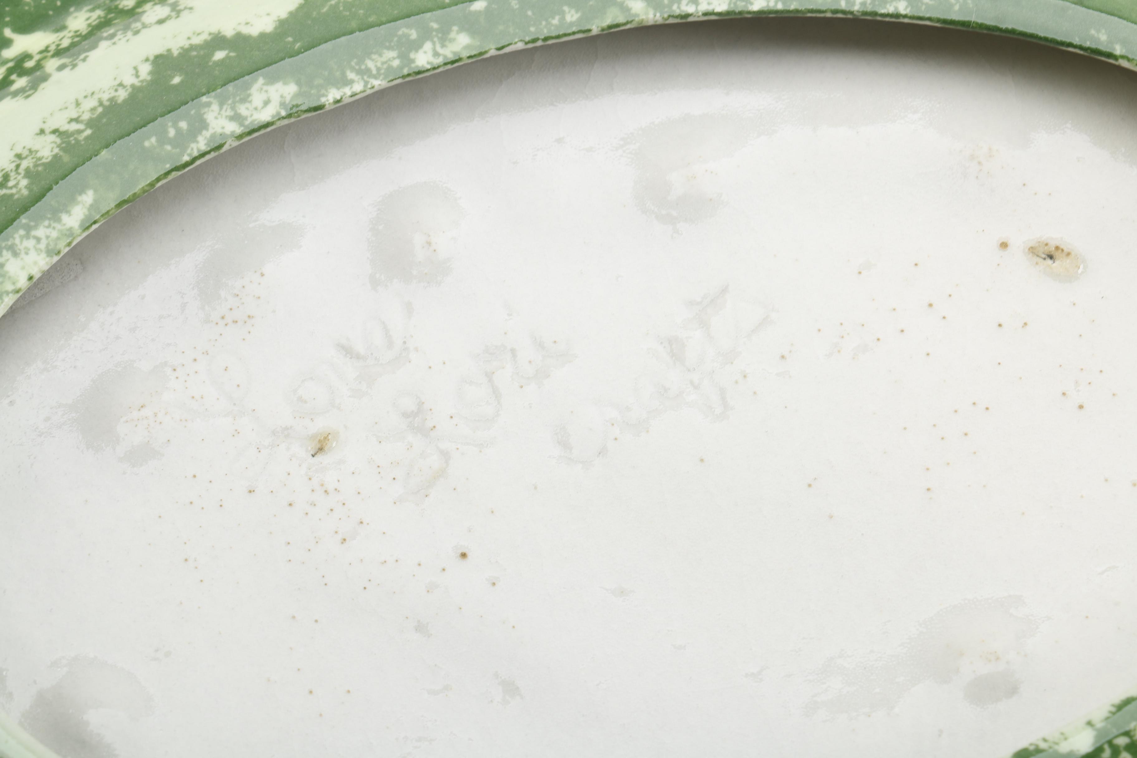 Watermelon Themed Tableware