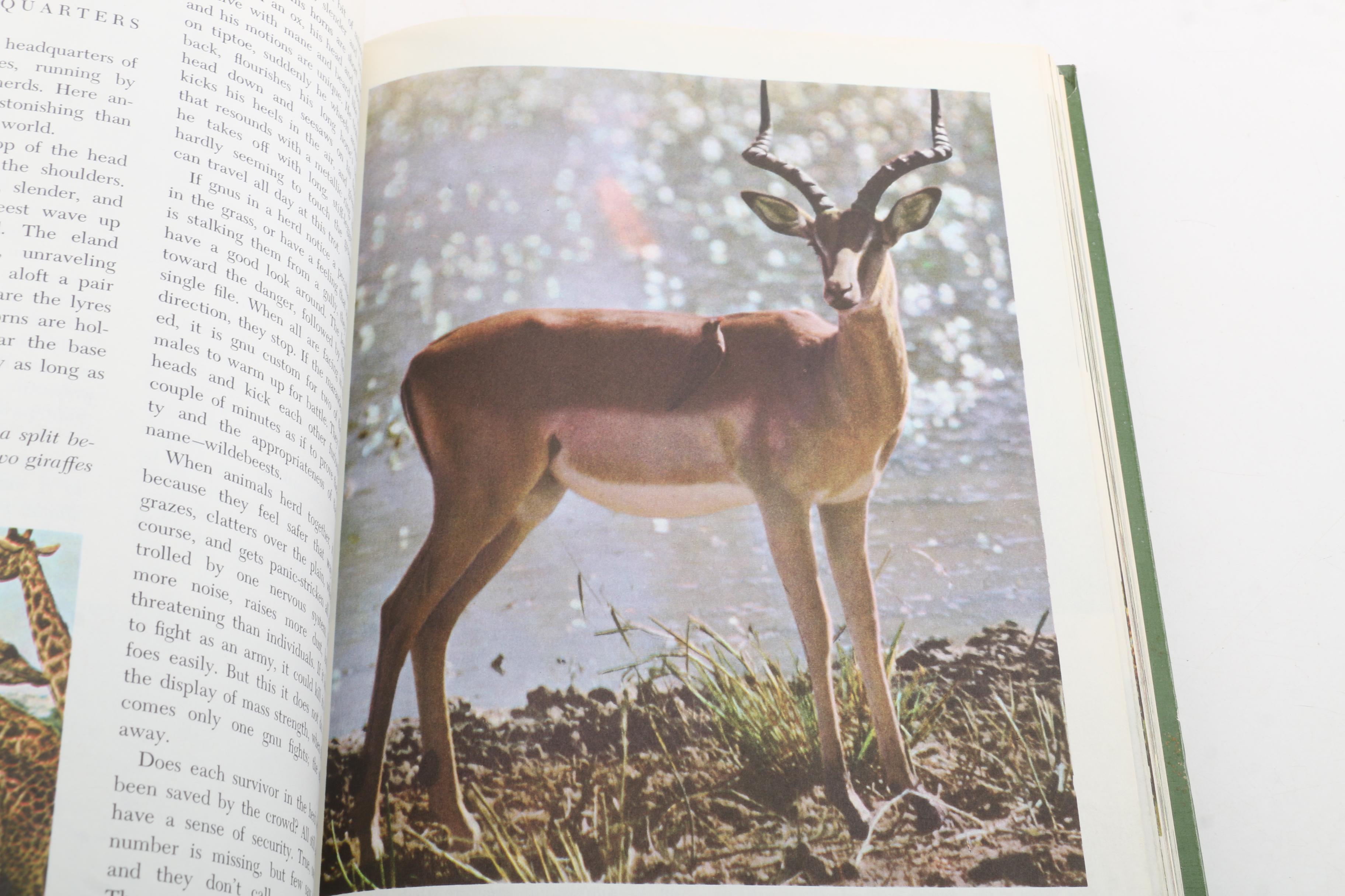 1964 "Walt Disney's Worlds of Nature"