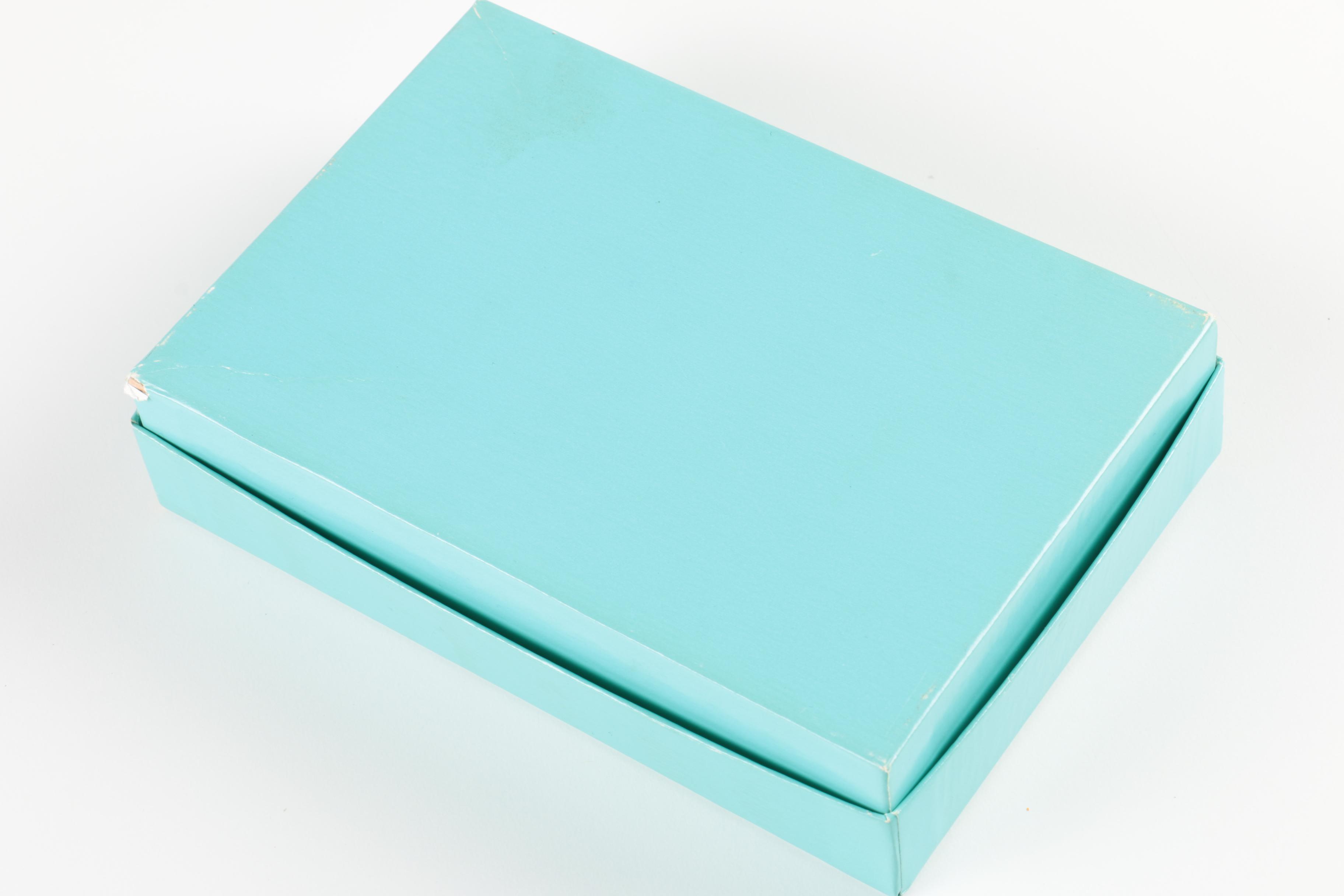 Tiffany and Co. Sterling Silver Magnifying Glass Necklace