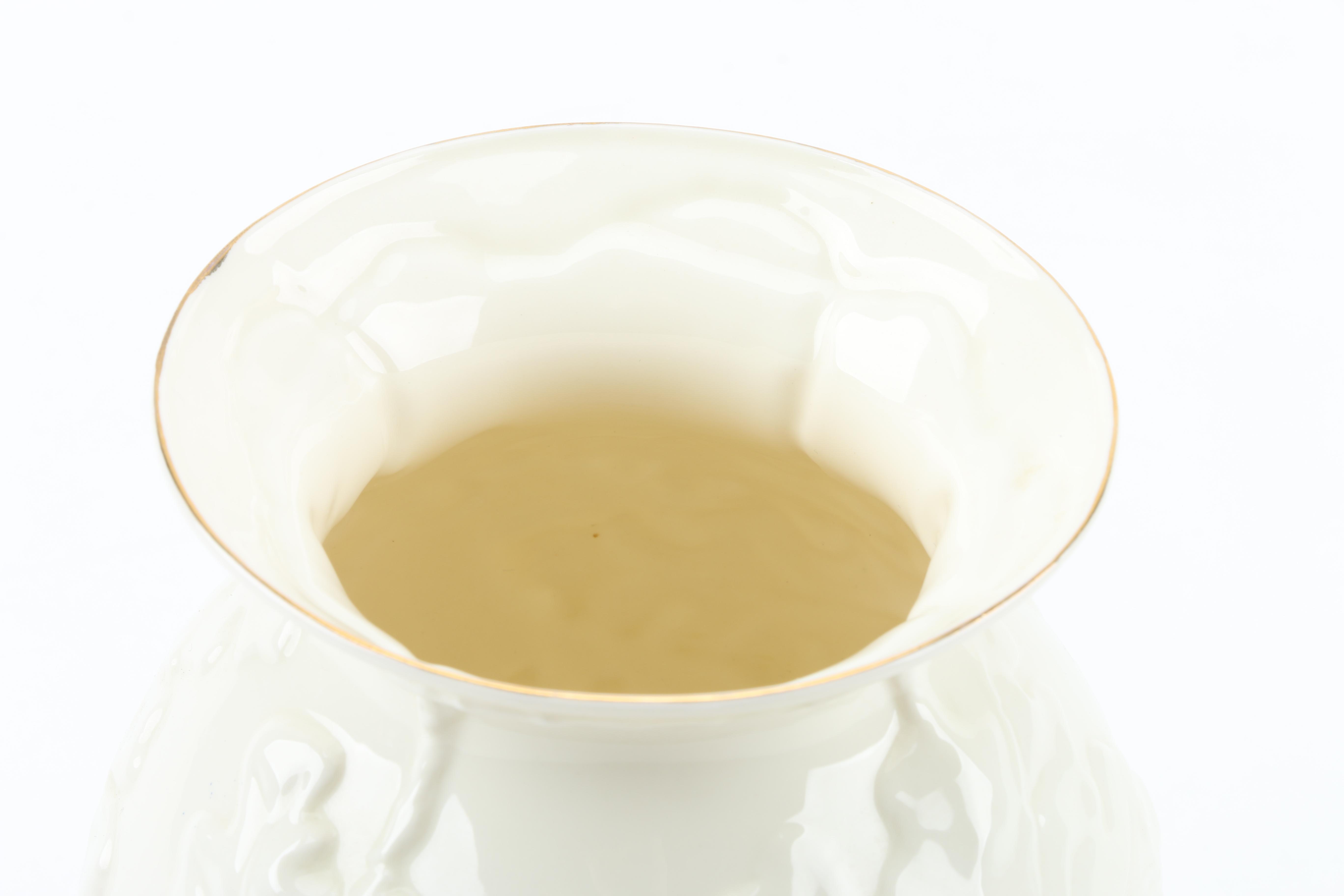 Belleek Floriate Vase