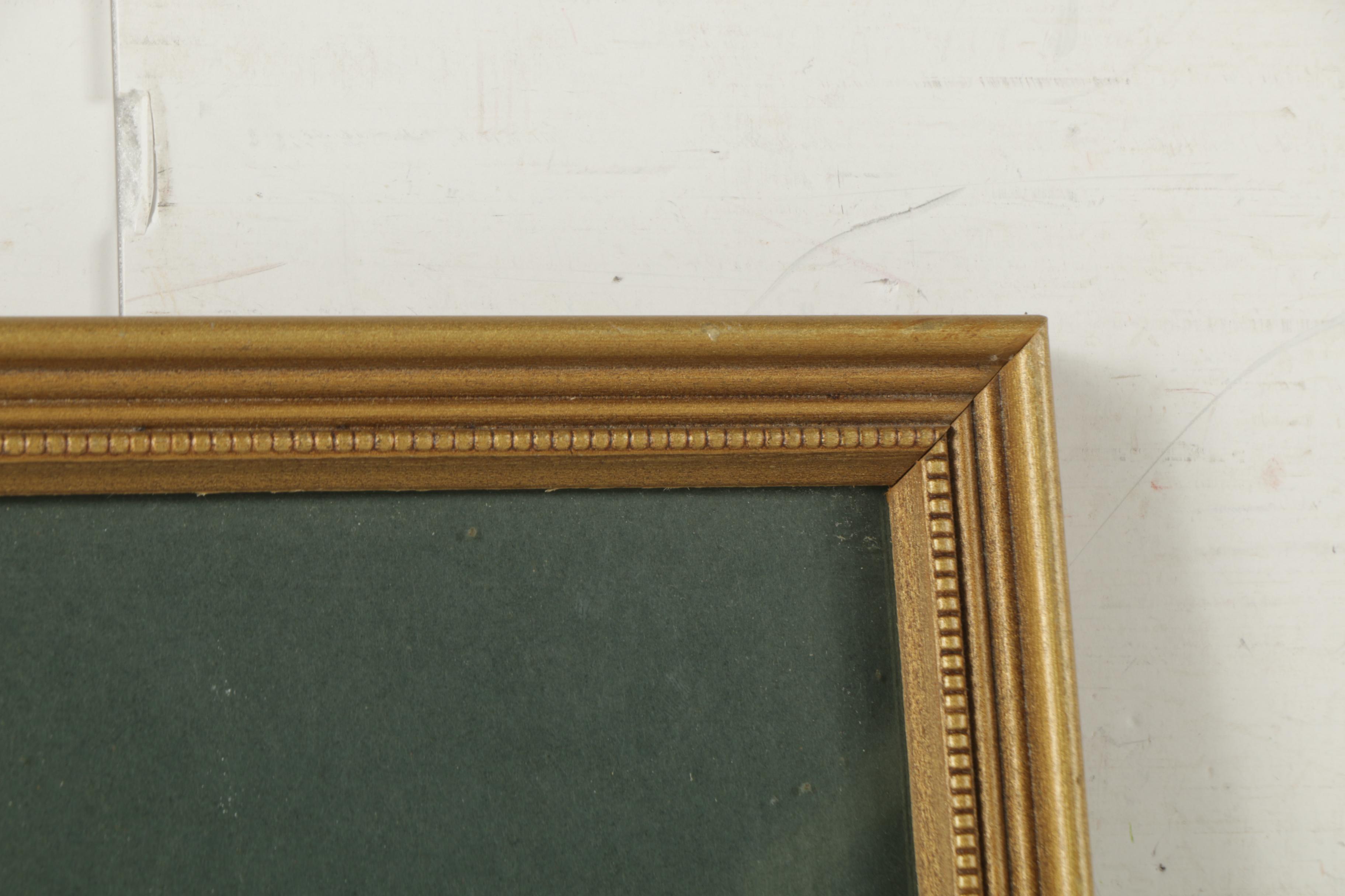 Botanical Chromolithograph on Paper of a Showy Lady's-Slipper Orchid