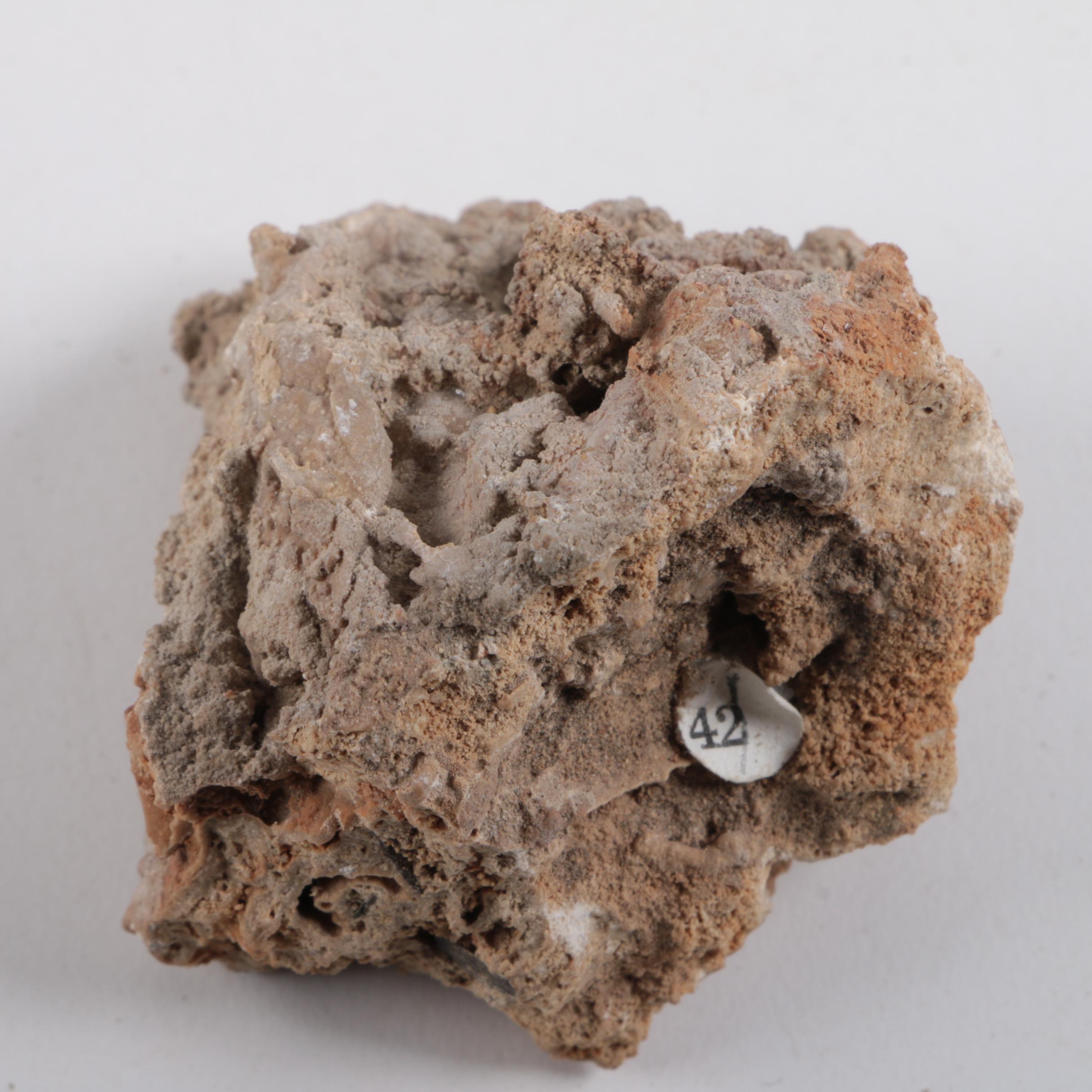 Boxed Mineral and Rock Collection