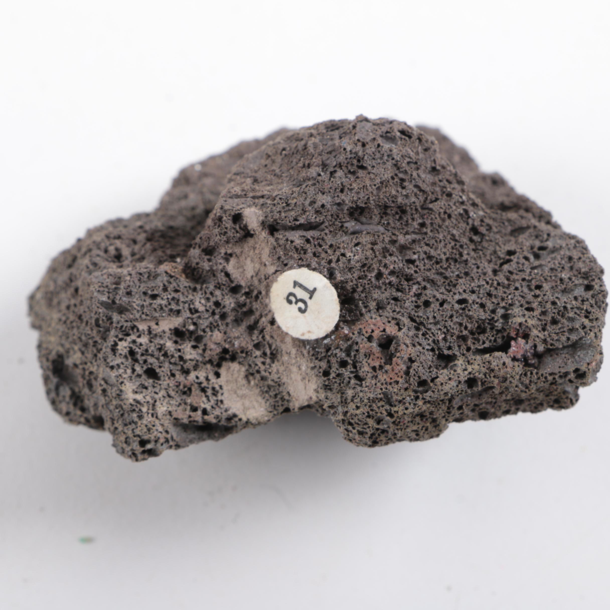 Boxed Mineral and Rock Collection