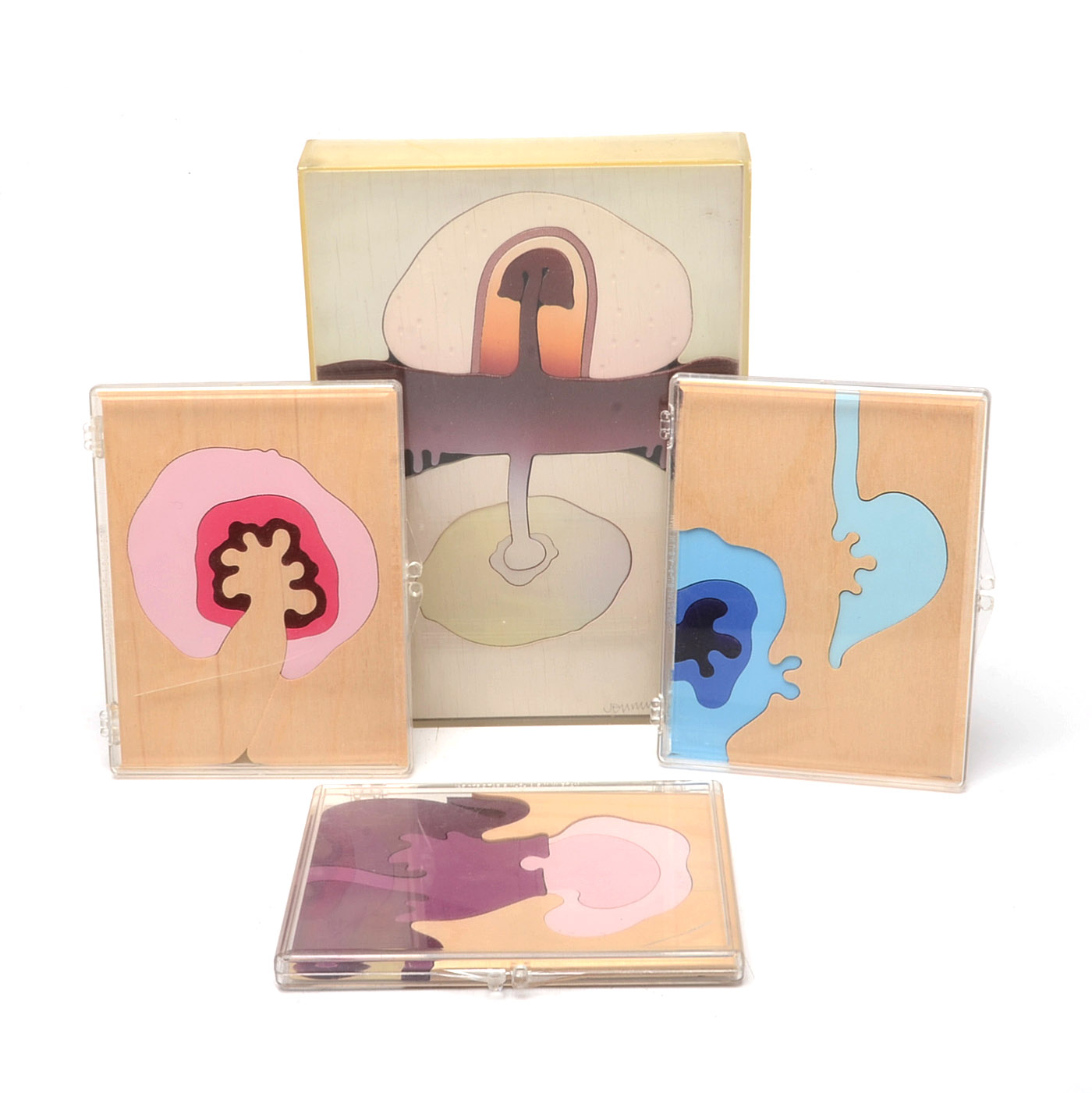 Rix Jennings Abstract Jigsaw Puzzles