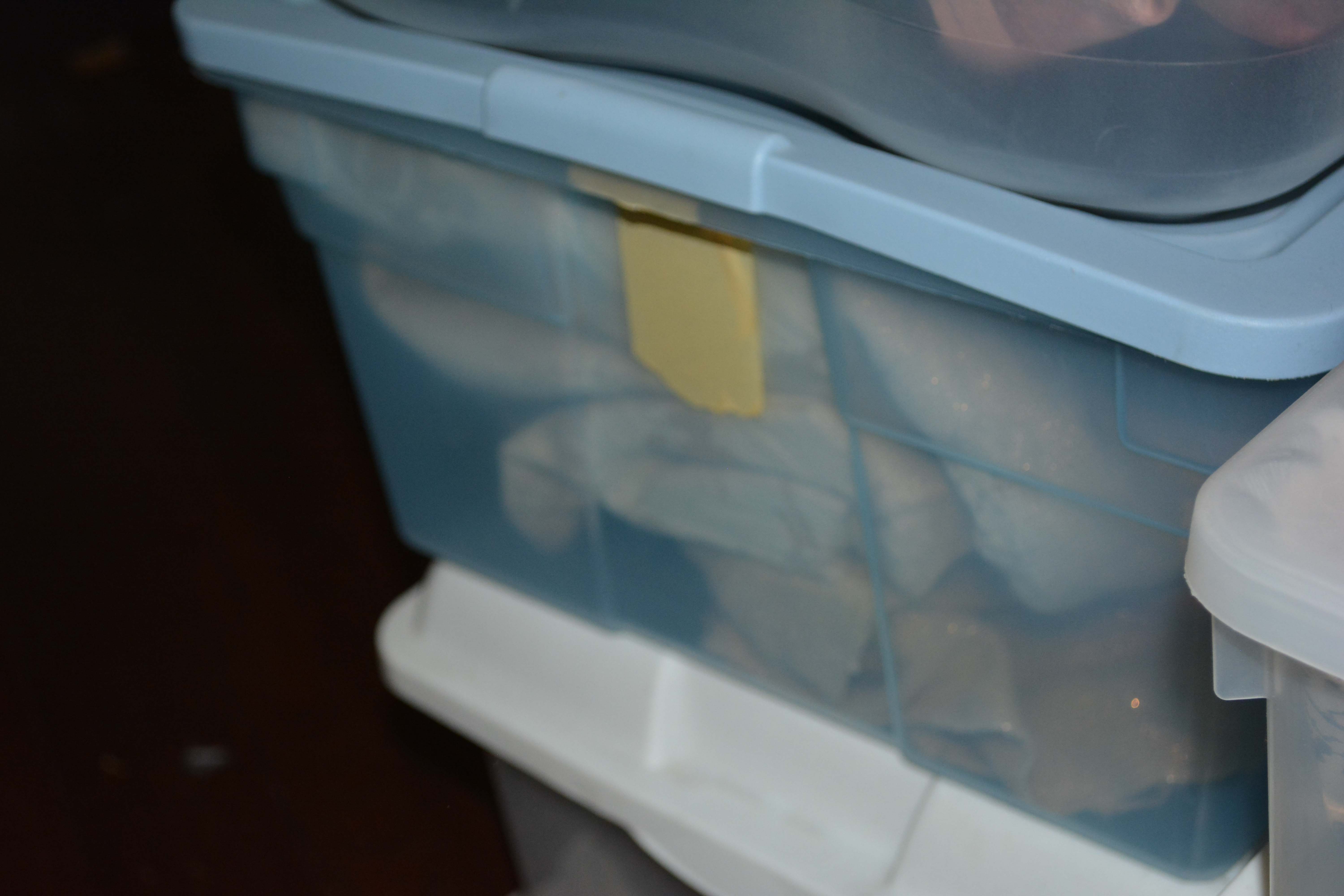 Collection of Fur and Specialty Fabric