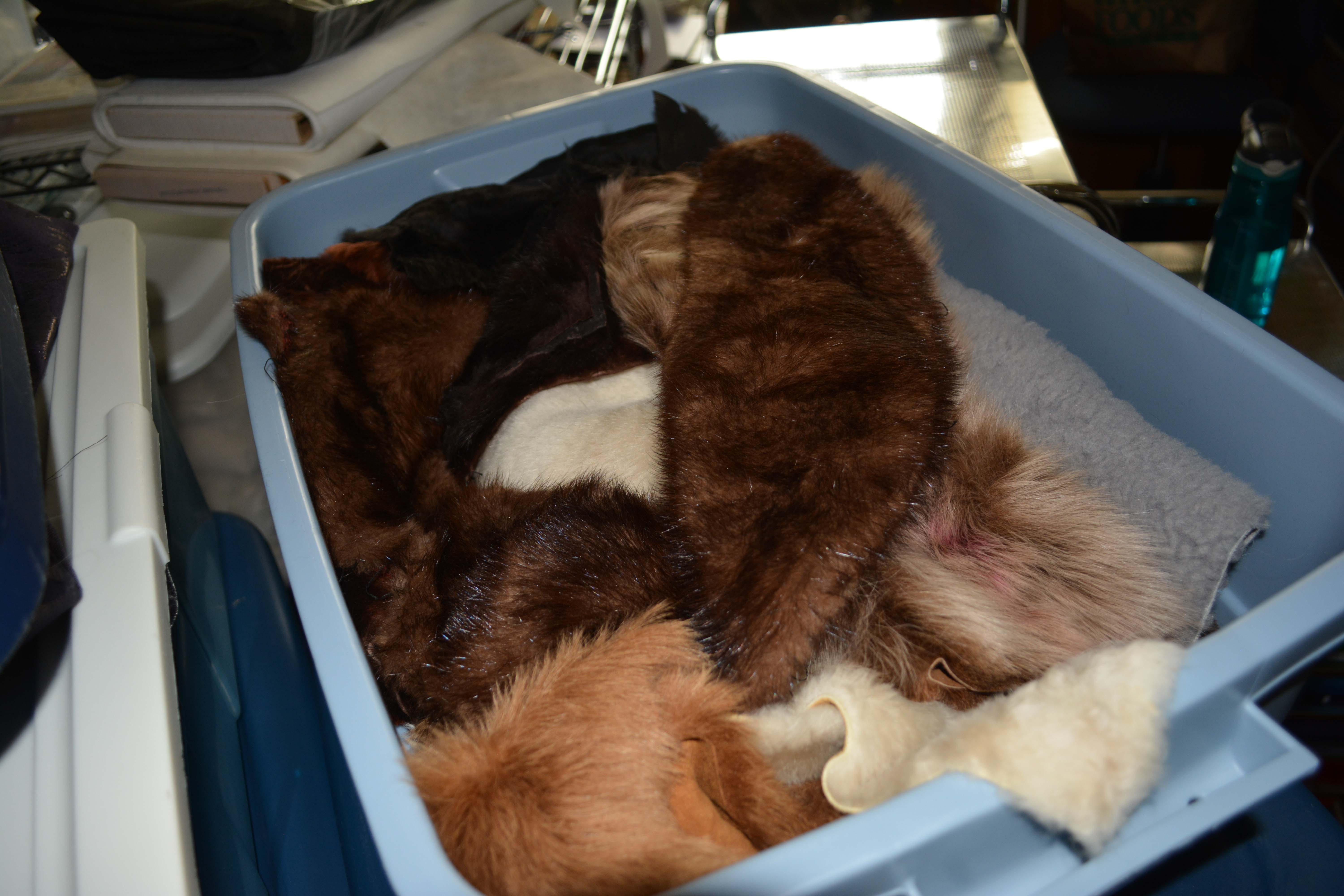 Collection of Fur and Specialty Fabric