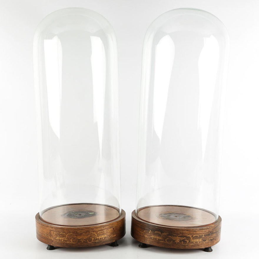 Glass Cloches with Inlaid Wood Bases