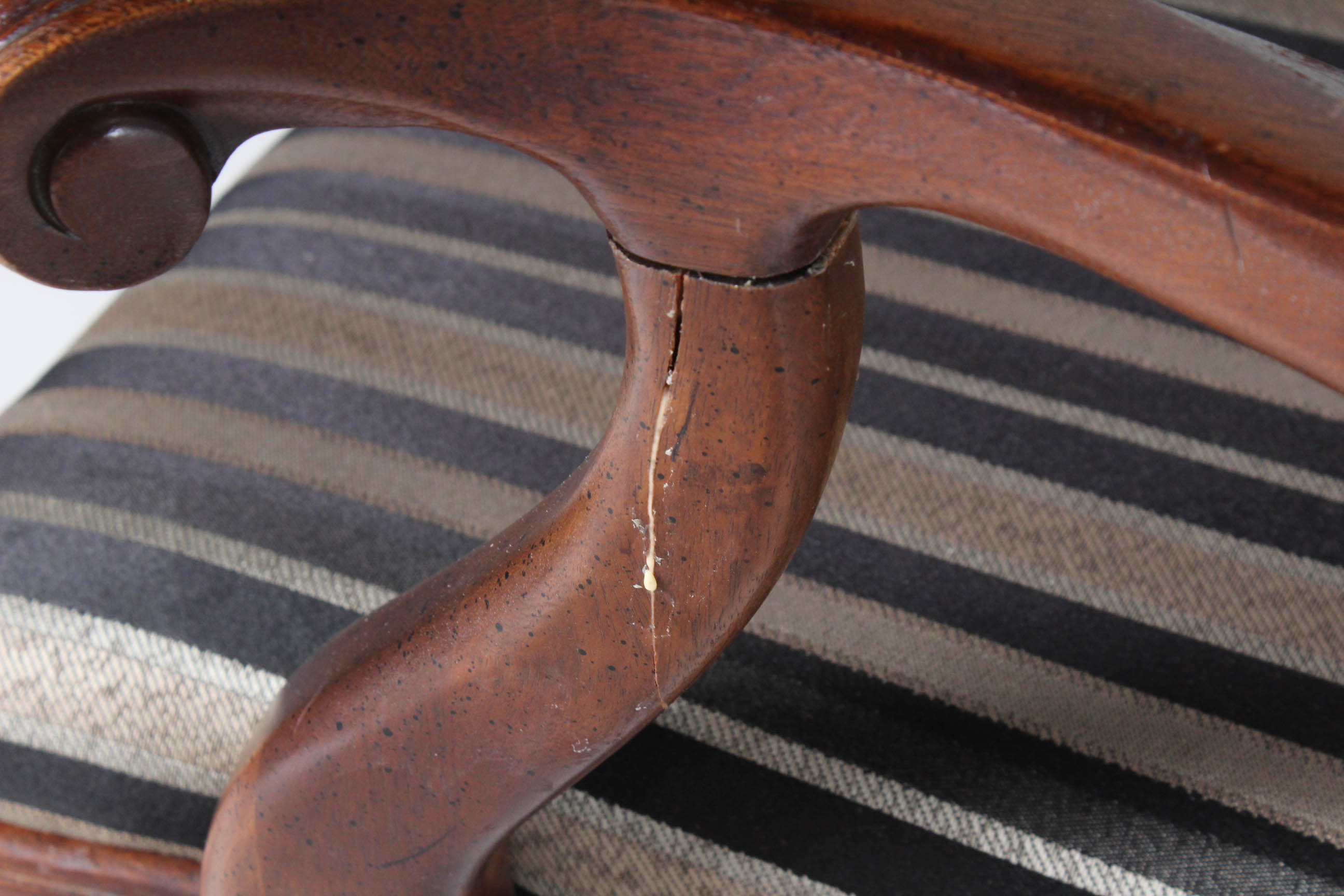 Chippendale Style Dining Chairs