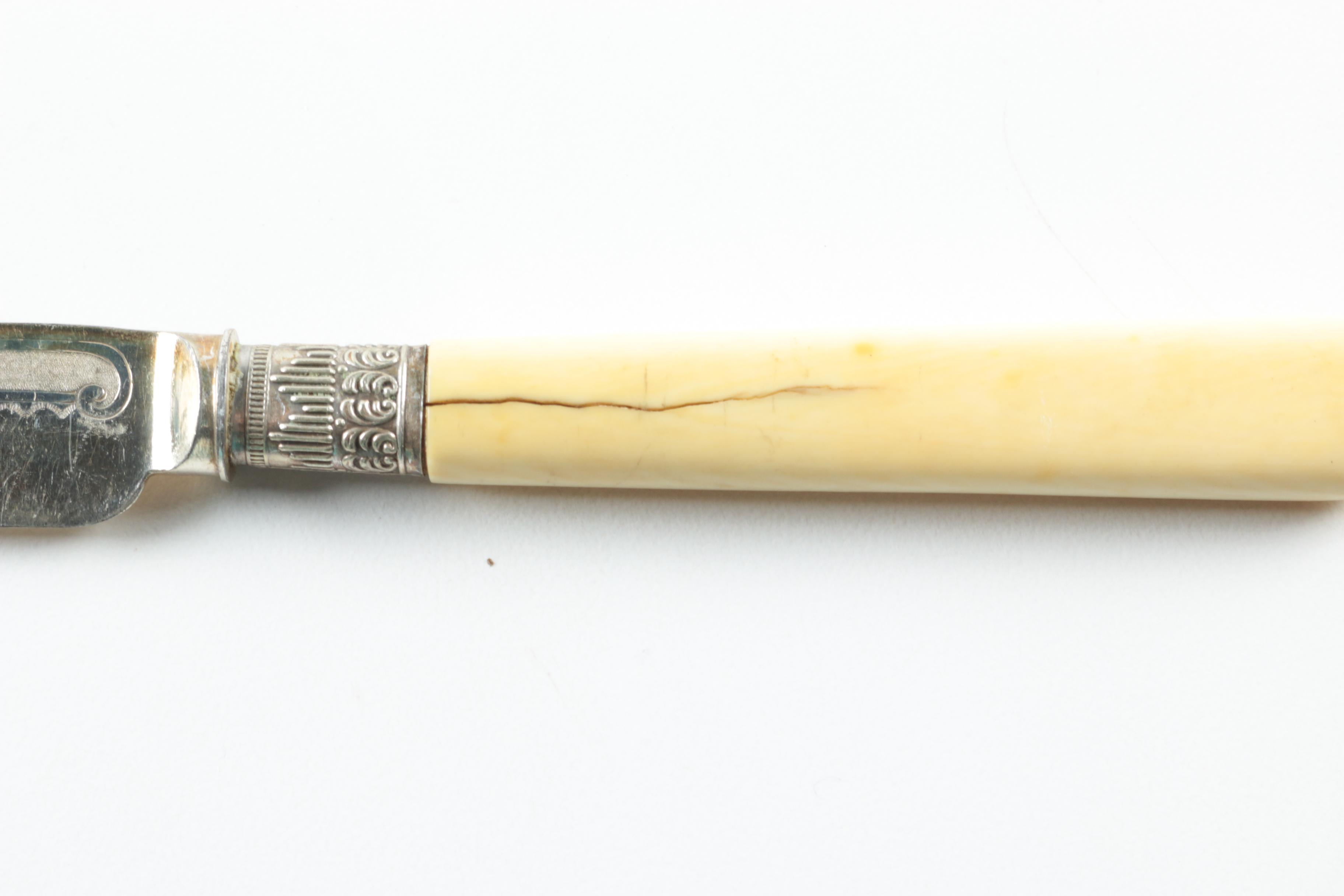 Set of Celluloid Handled Silver Plate Flatware