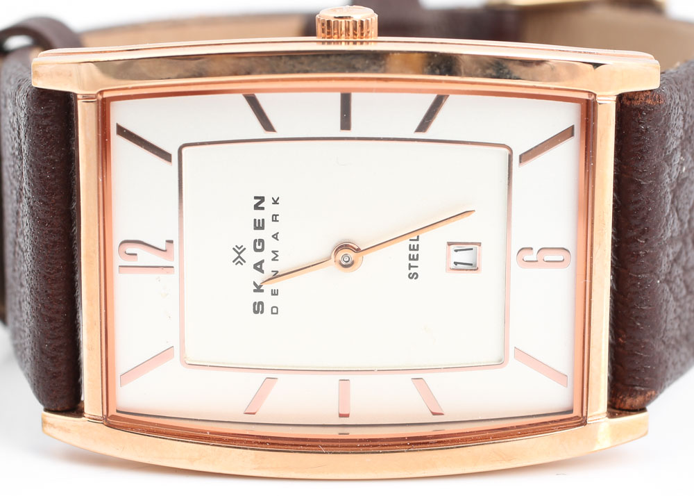 Stainless Steel Skagen Watch