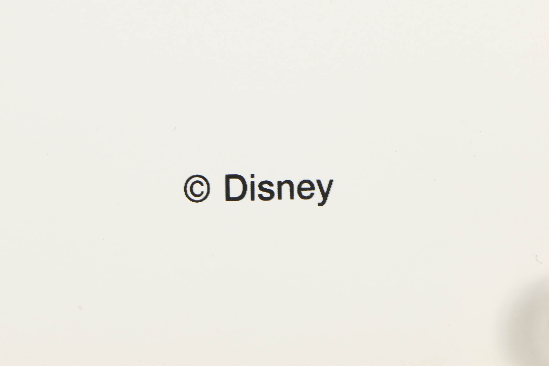 Sowa & Reiser Serigraph "Mickey Mouse"