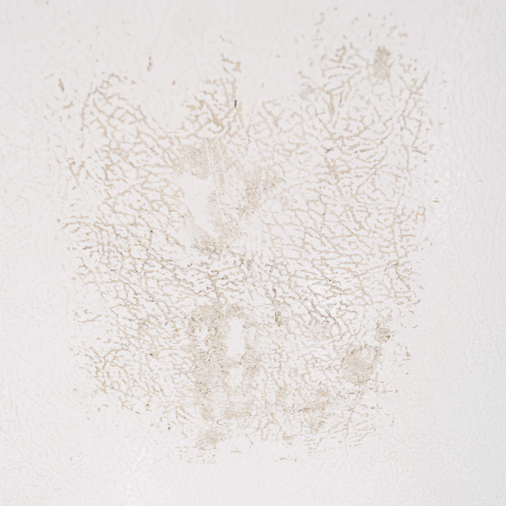 Kenmore "Signature 2000" Upright Freezer