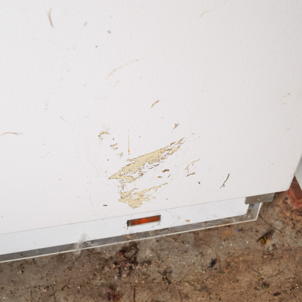 Kenmore "Signature 2000" Upright Freezer