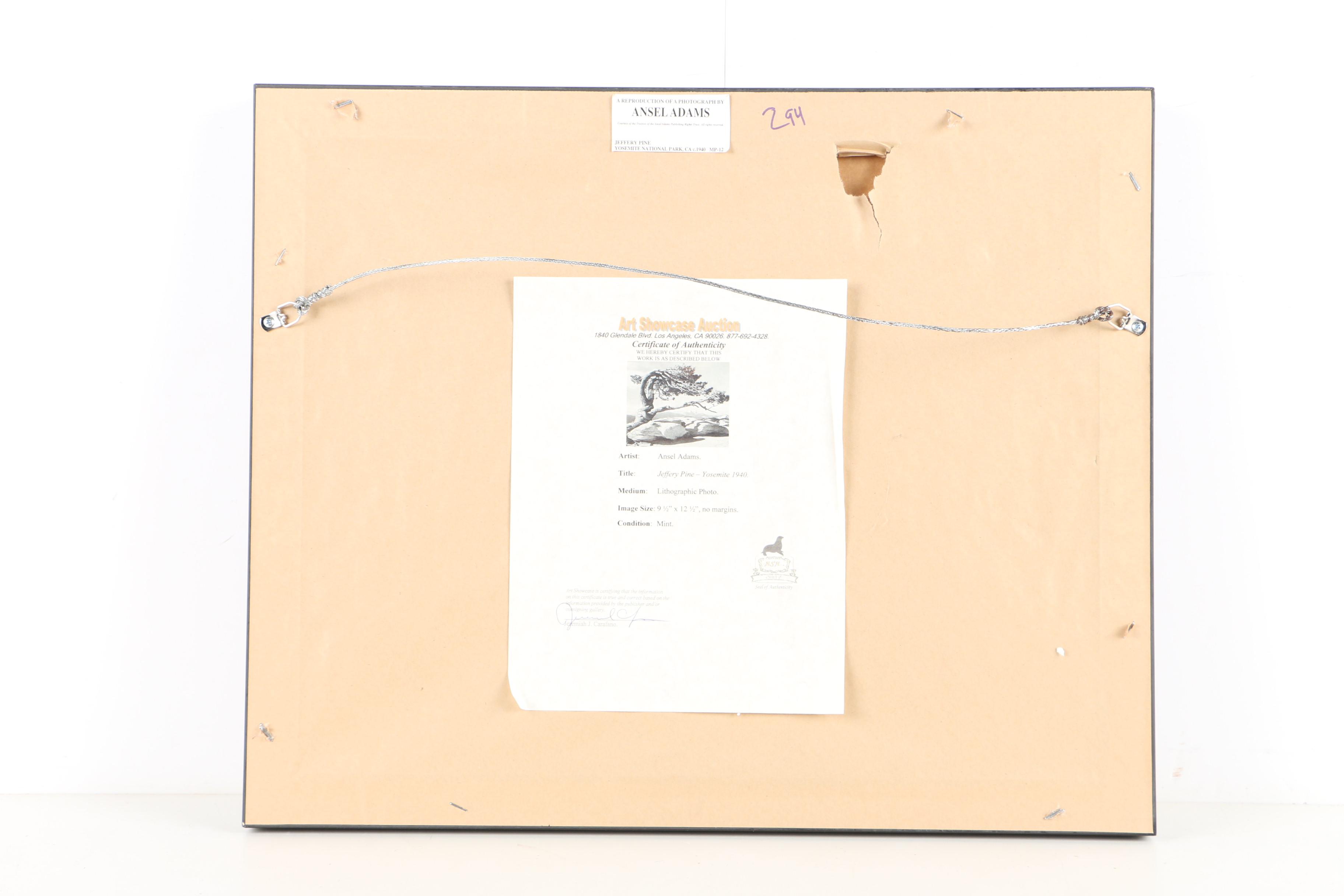 Reproduction Print on Paper After Ansel Adams "Jeffery Pine -Yosemite 1940"