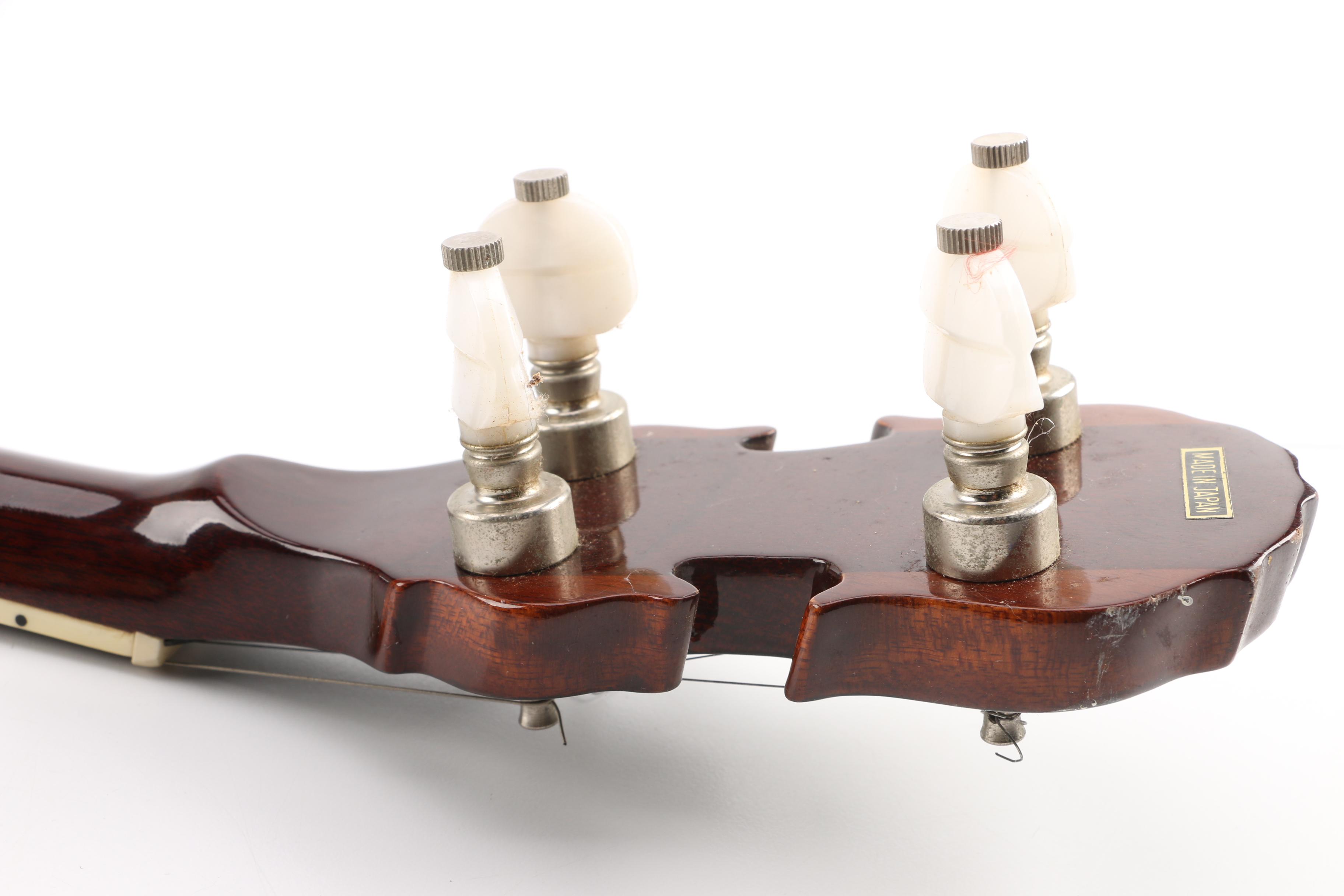 Five-String Aria Banjo