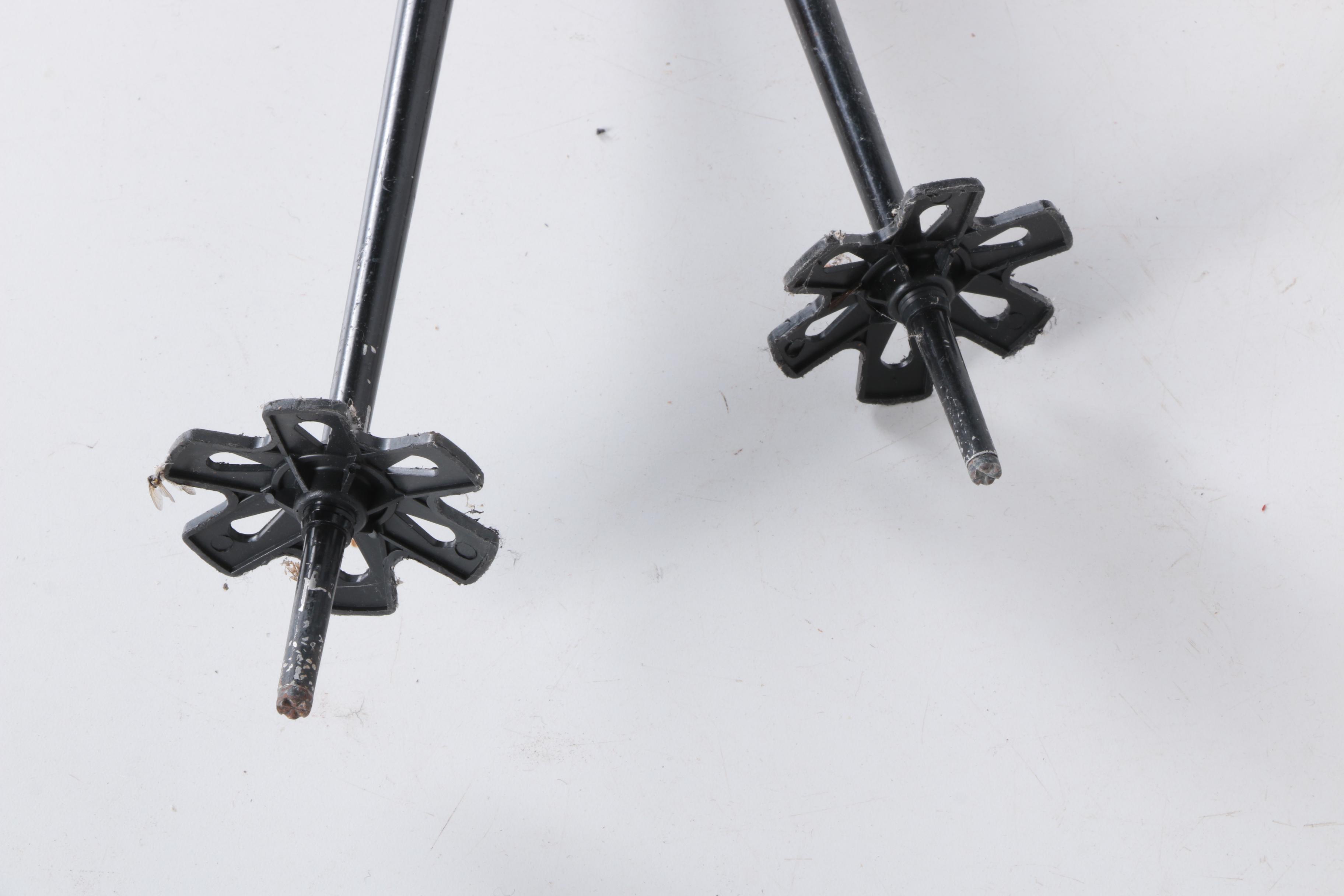 Rossignol and Elan Children's Skis with Poles