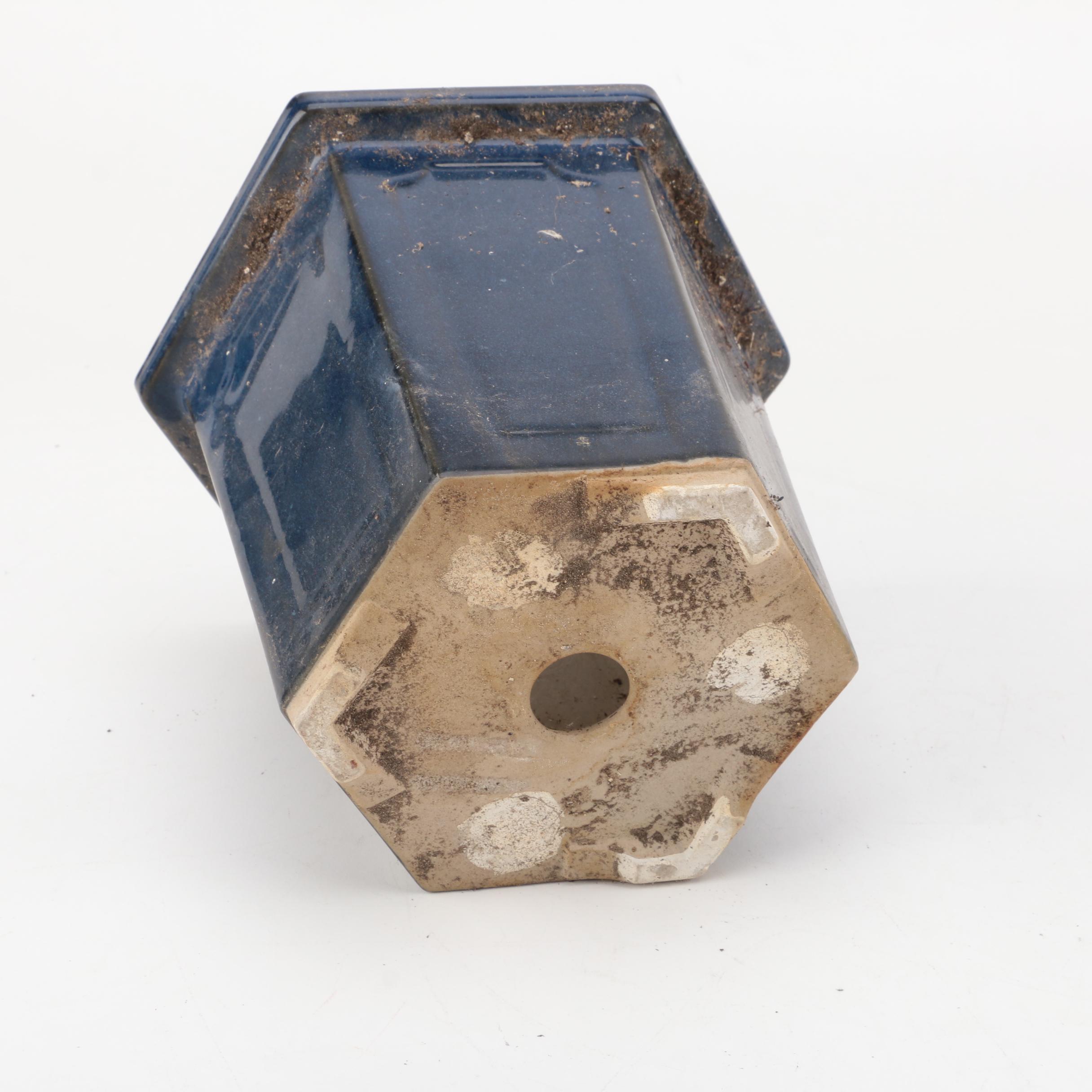 Ceramic Floral Motif Pots