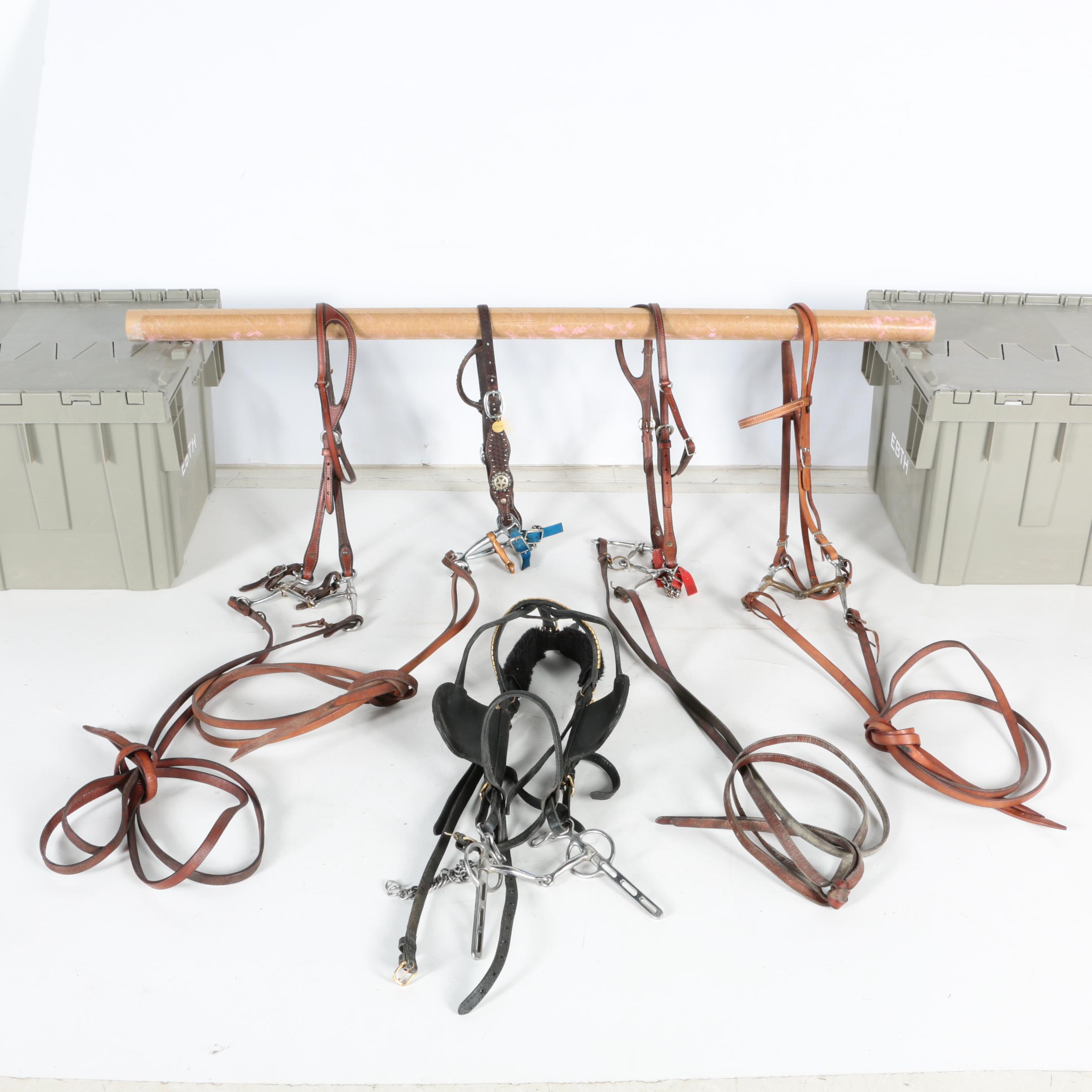 Western Equestrian Bridles and Reins