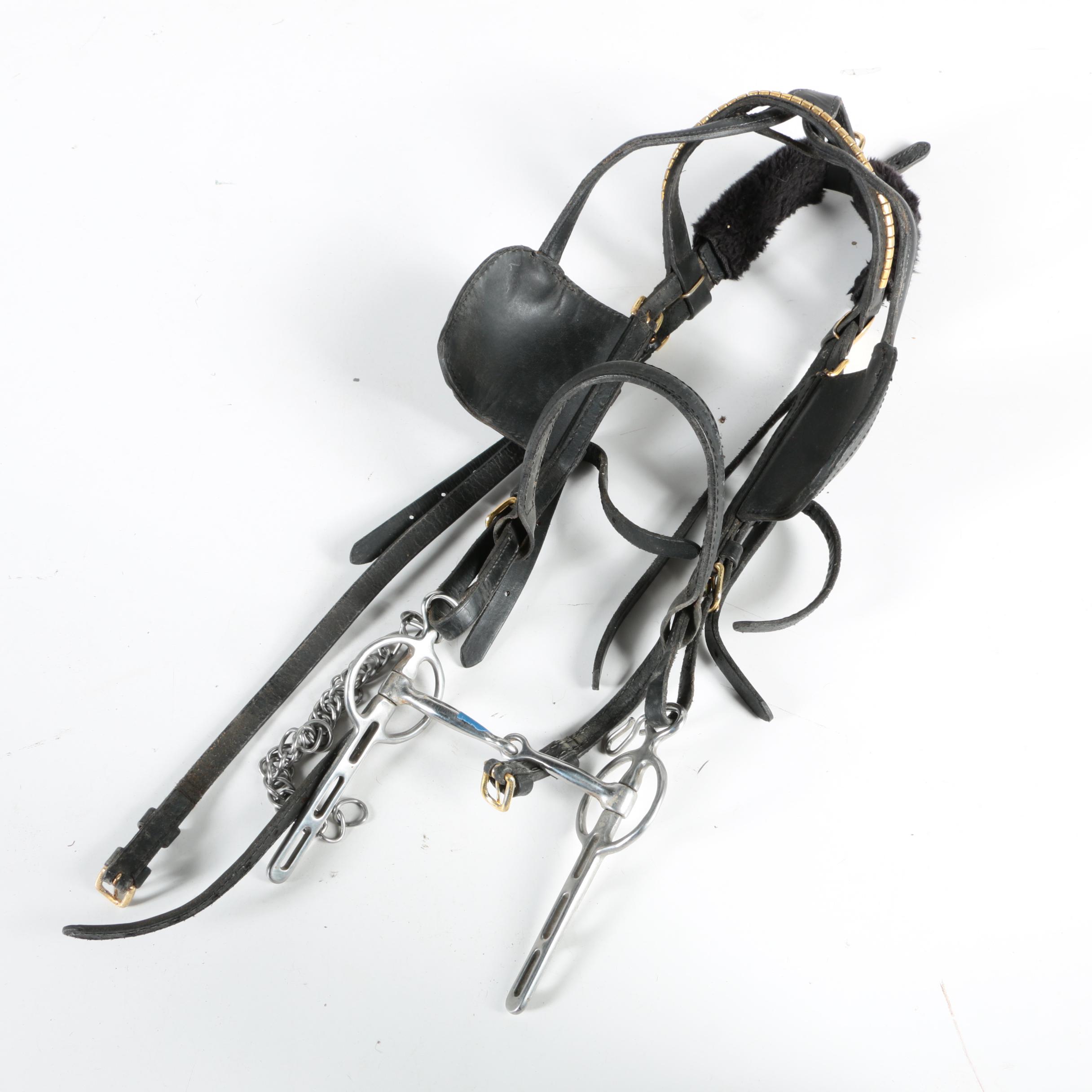 Western Equestrian Bridles and Reins