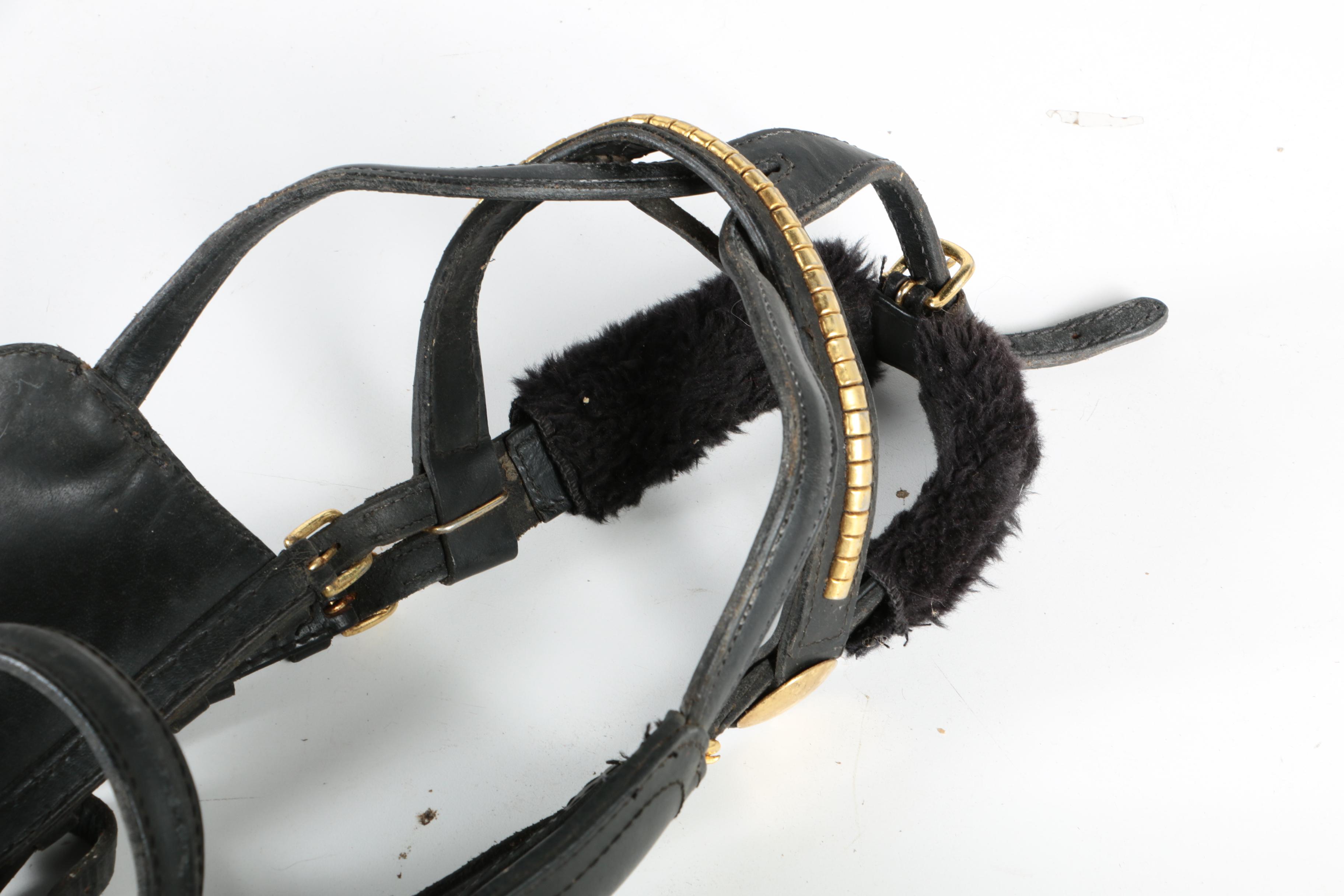 Western Equestrian Bridles and Reins