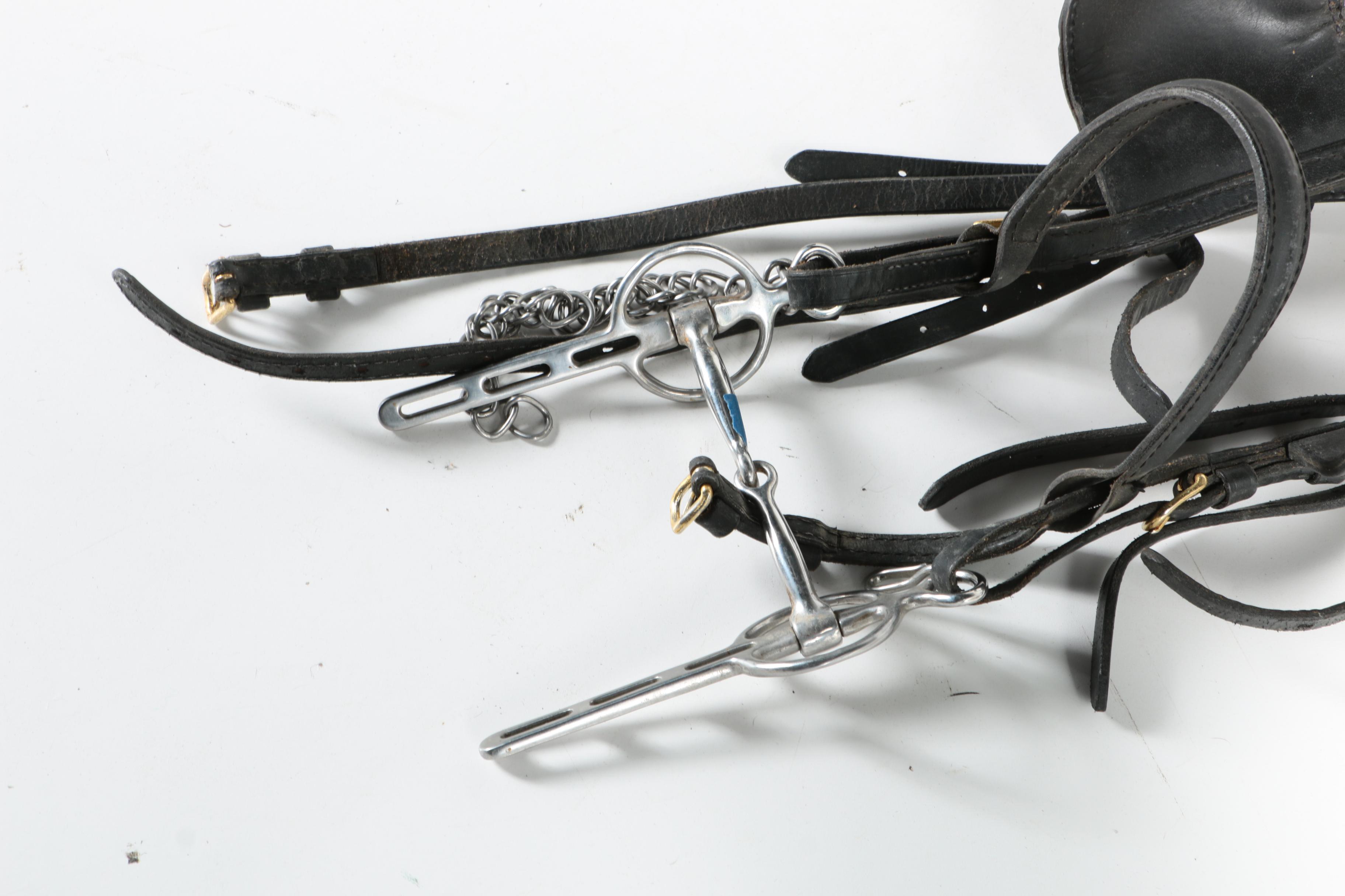 Western Equestrian Bridles and Reins