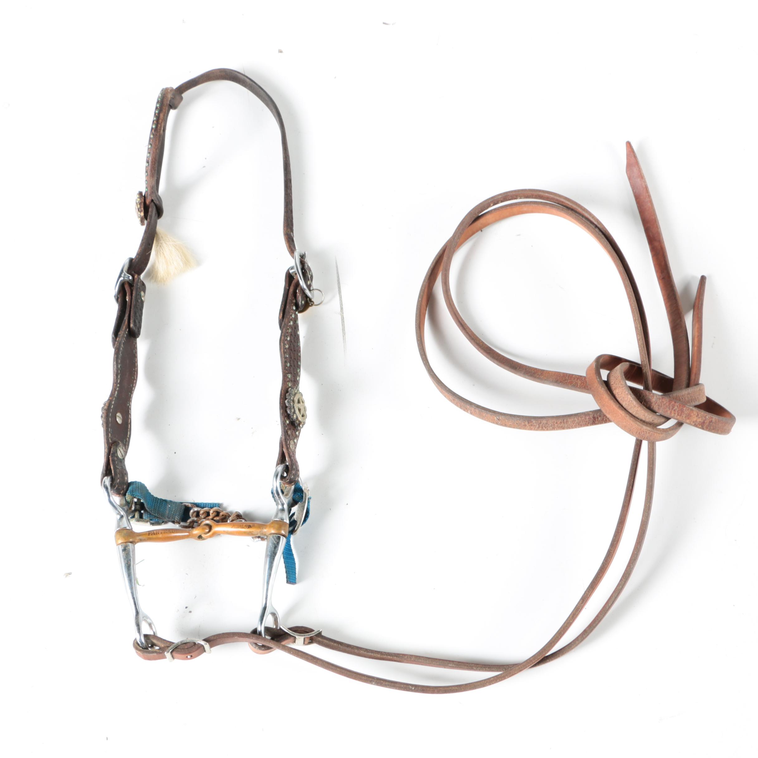 Western Equestrian Bridles and Reins