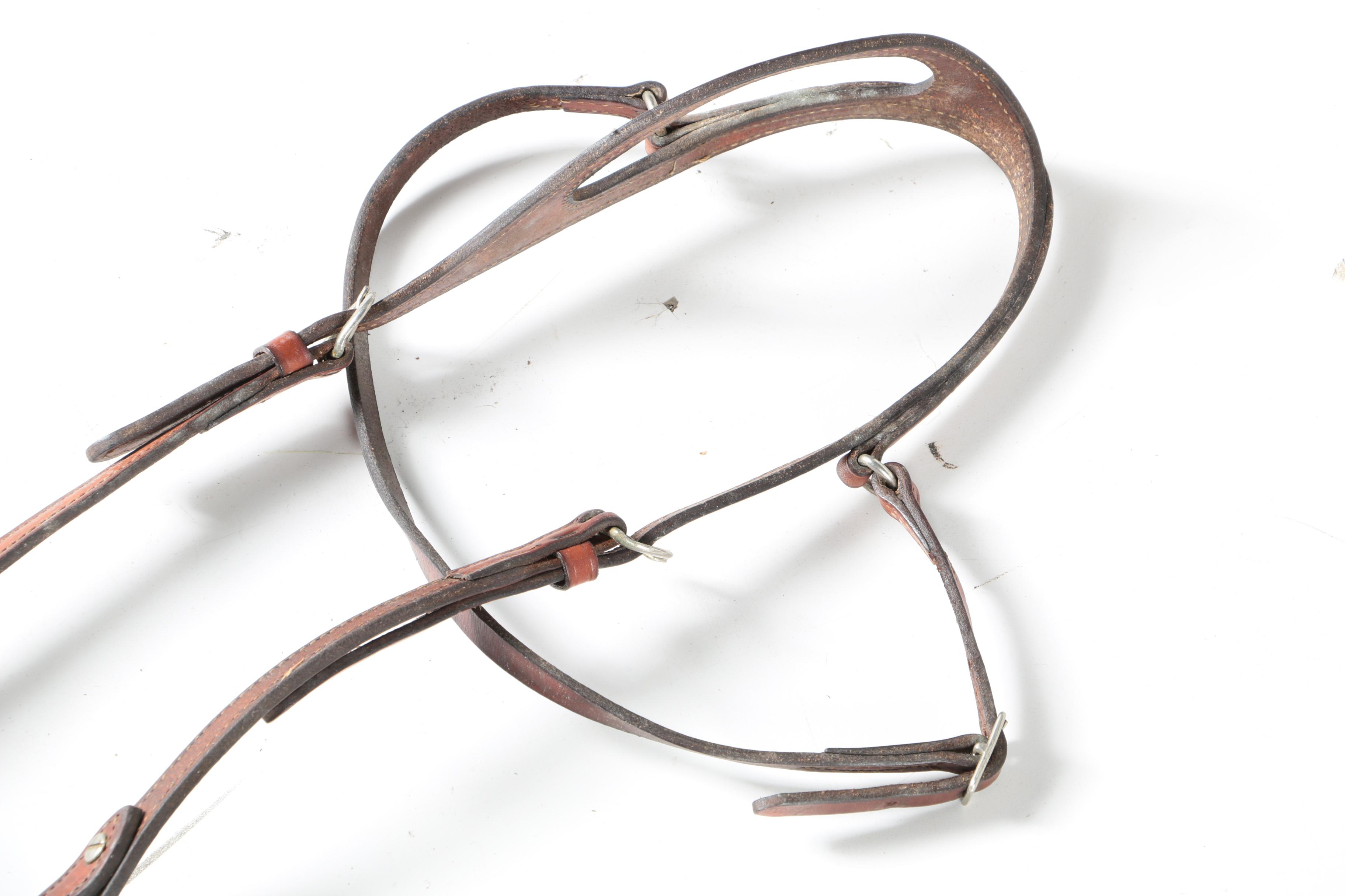 Western Equestrian Bridles and Reins