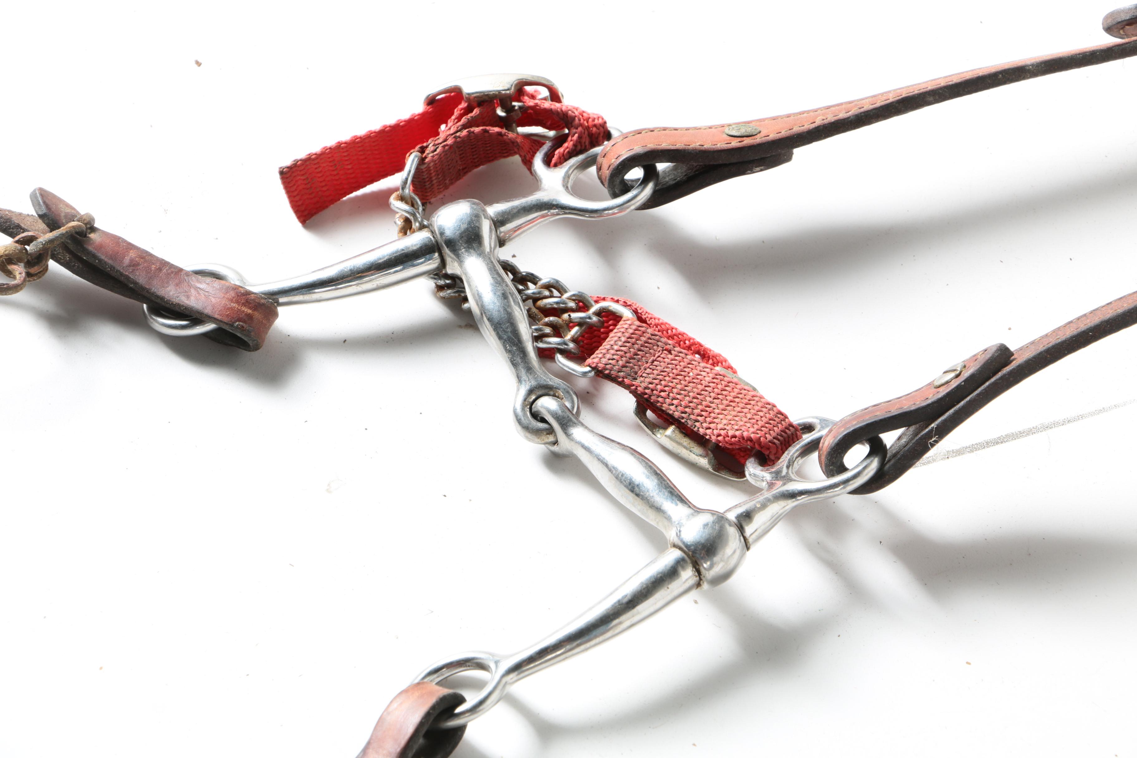 Western Equestrian Bridles and Reins