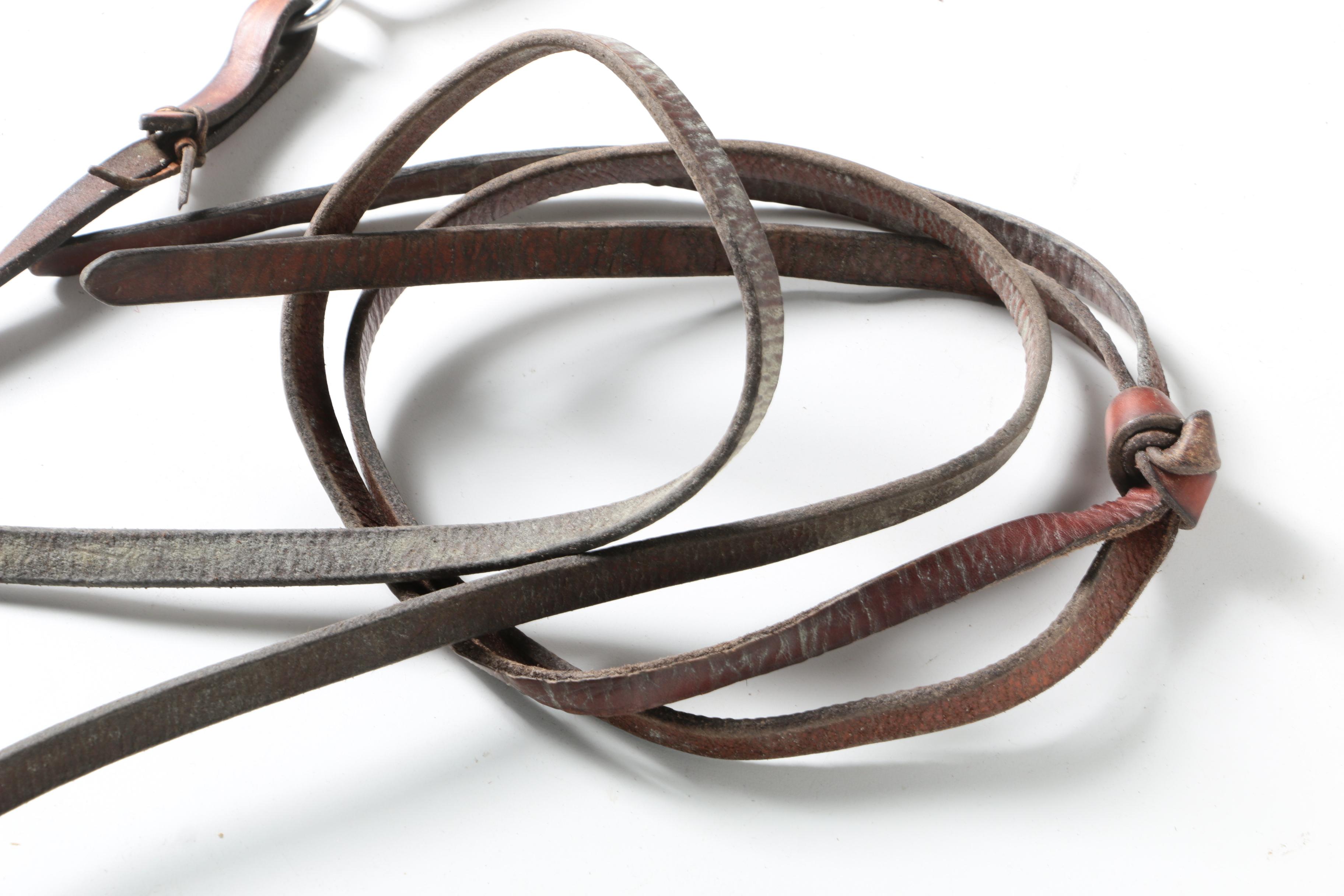 Western Equestrian Bridles and Reins