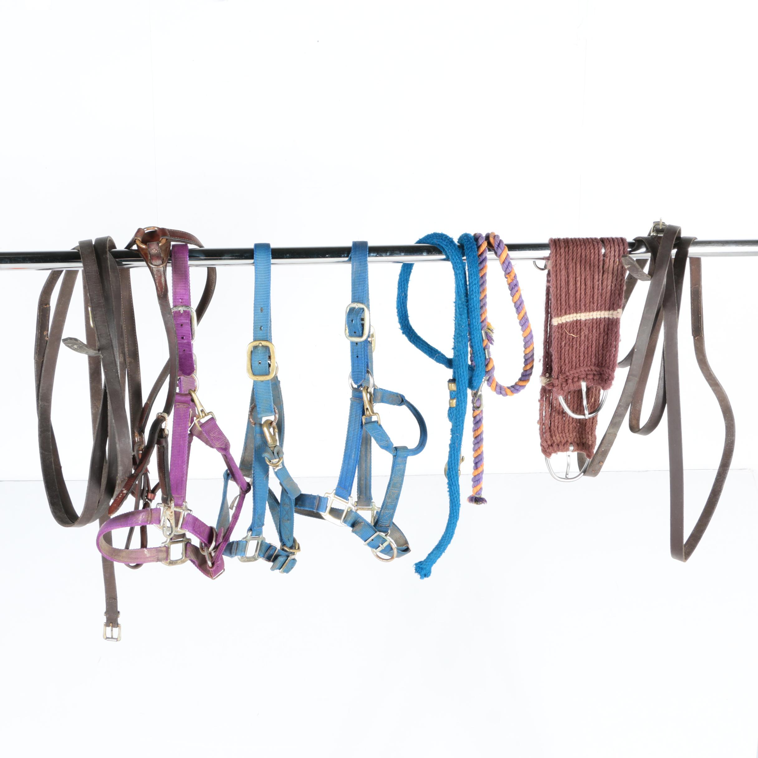 Equestrian Halters, Woven Cinch, and More