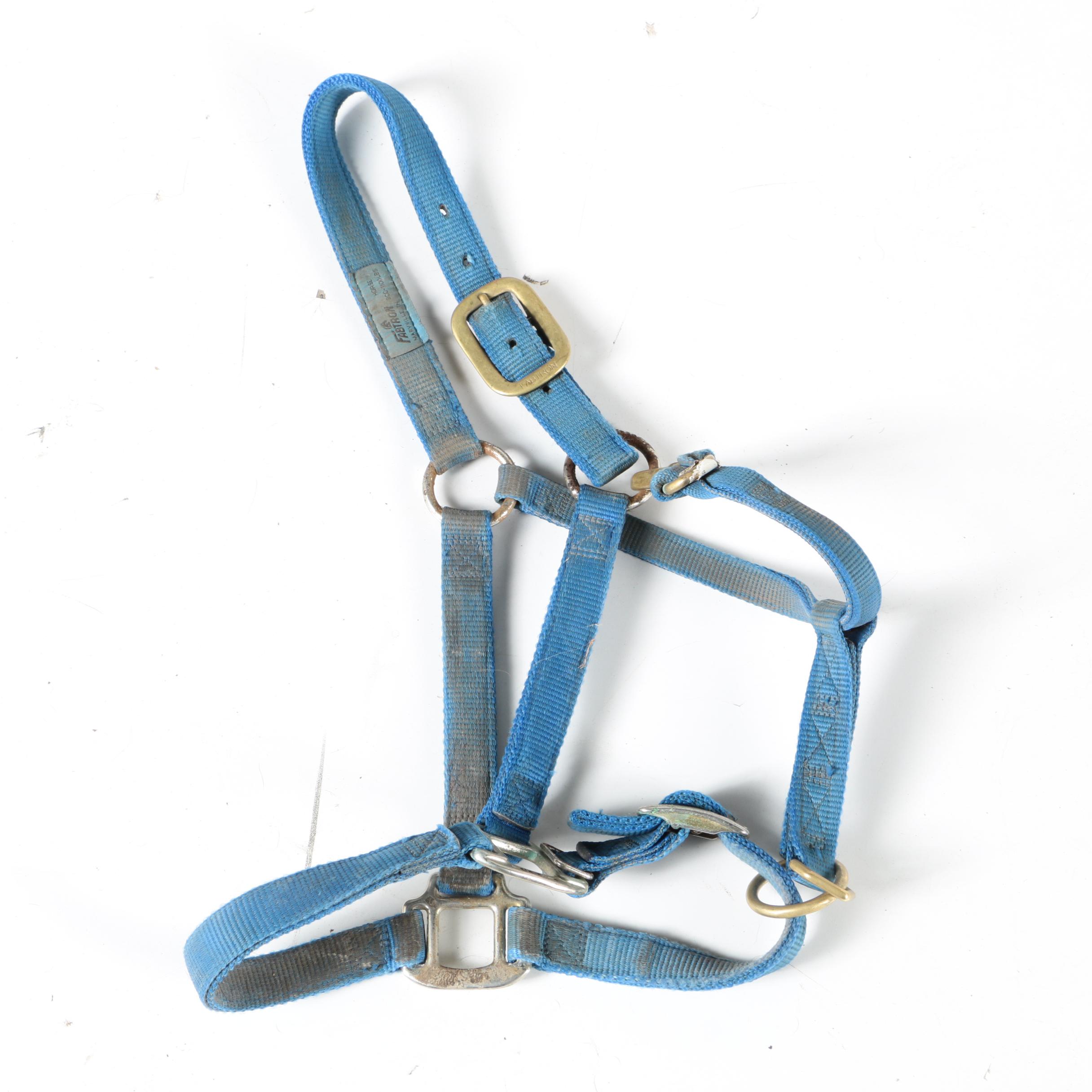 Equestrian Halters, Woven Cinch, and More