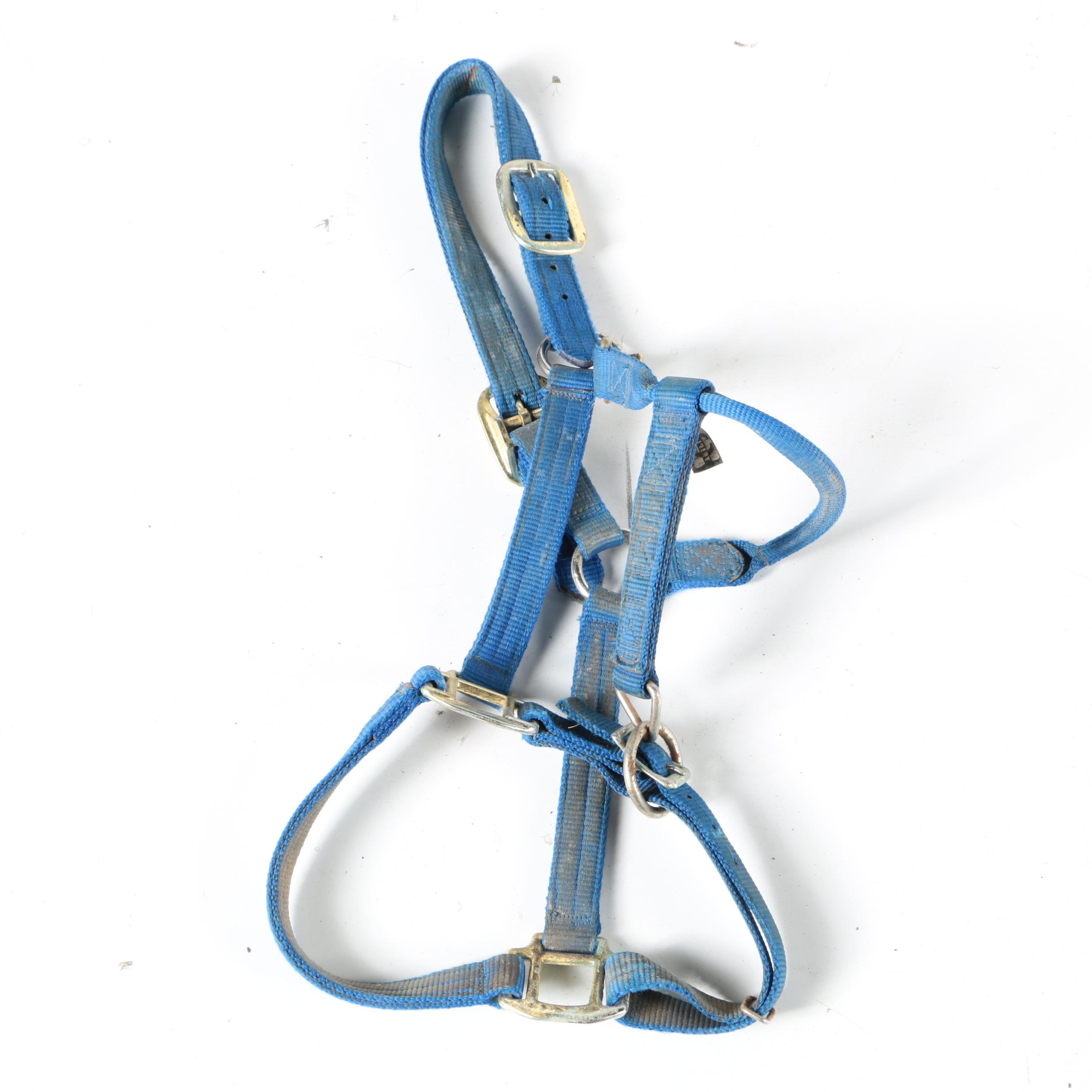 Equestrian Halters, Woven Cinch, and More