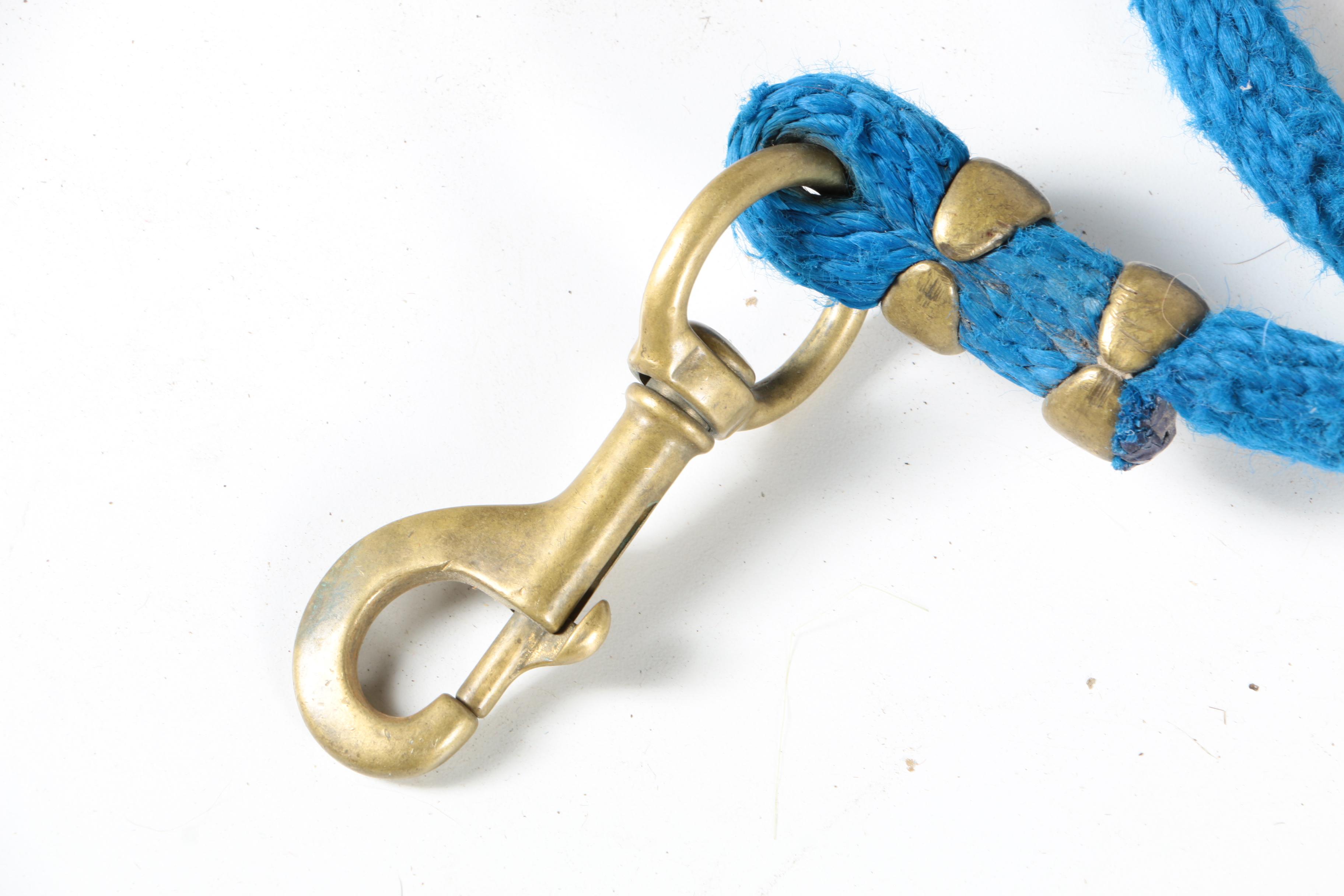 Equestrian Halters, Woven Cinch, and More