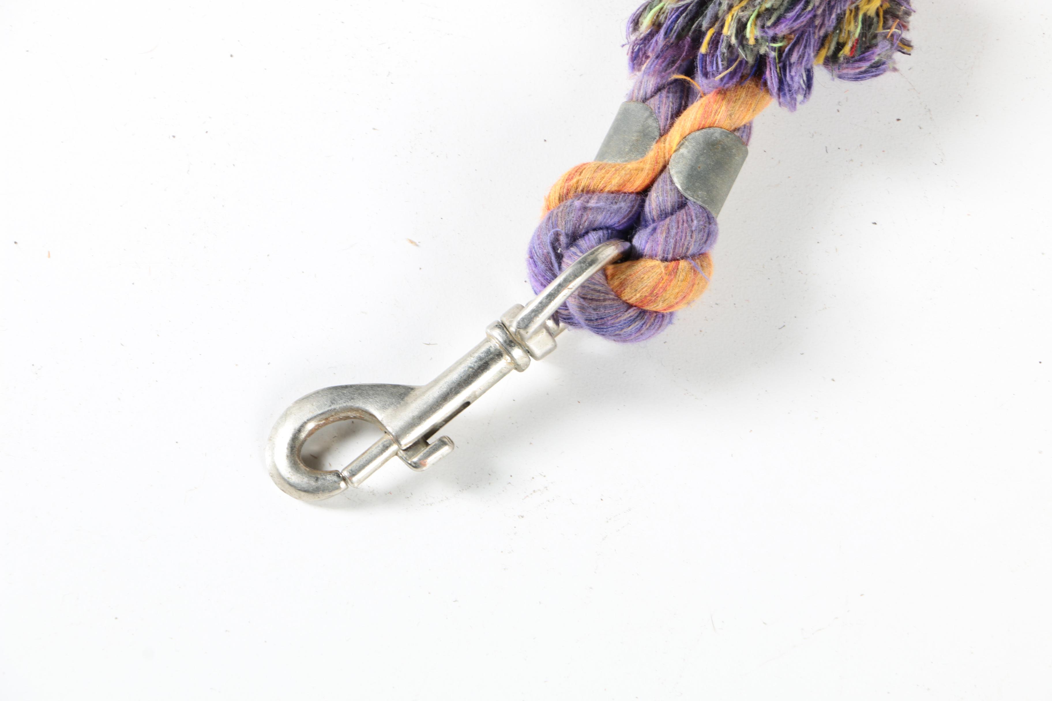 Equestrian Halters, Woven Cinch, and More