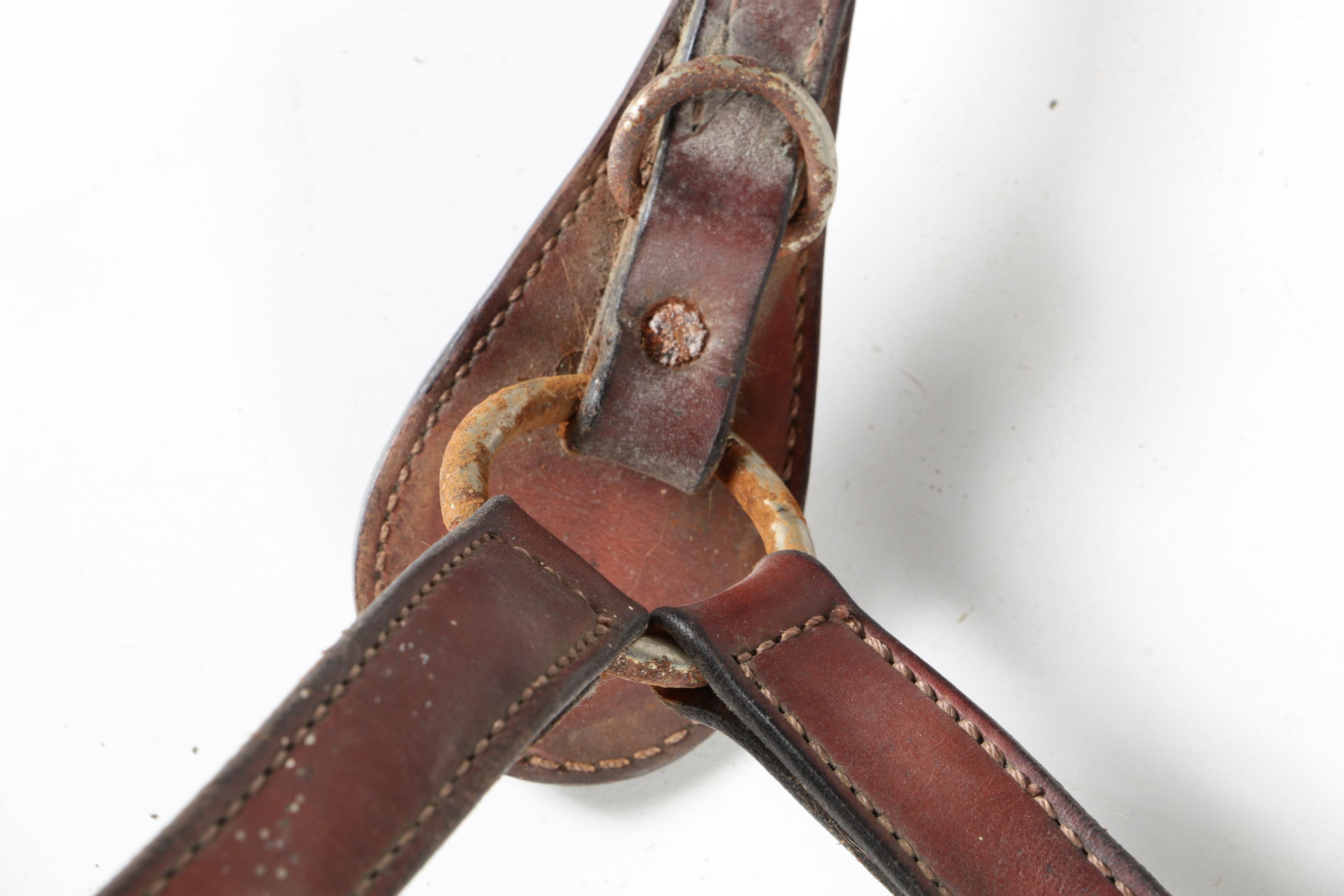 Equestrian Halters, Woven Cinch, and More