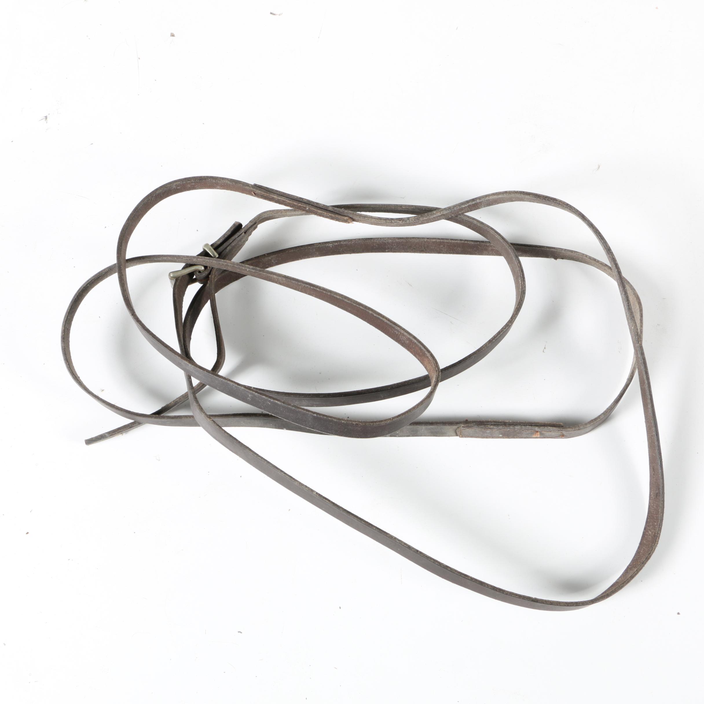 Equestrian Halters, Woven Cinch, and More