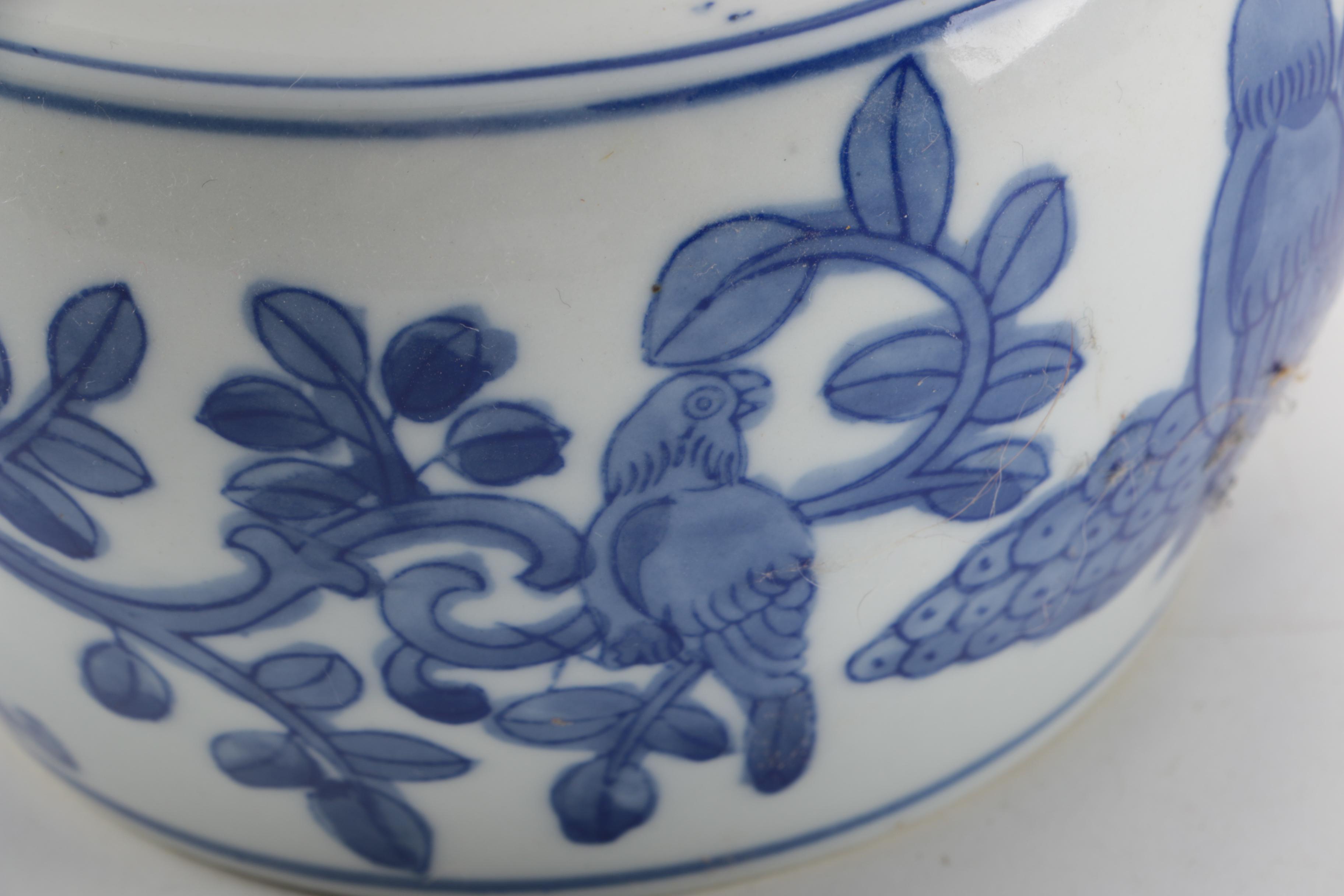 Blue and White Ceramic Planters