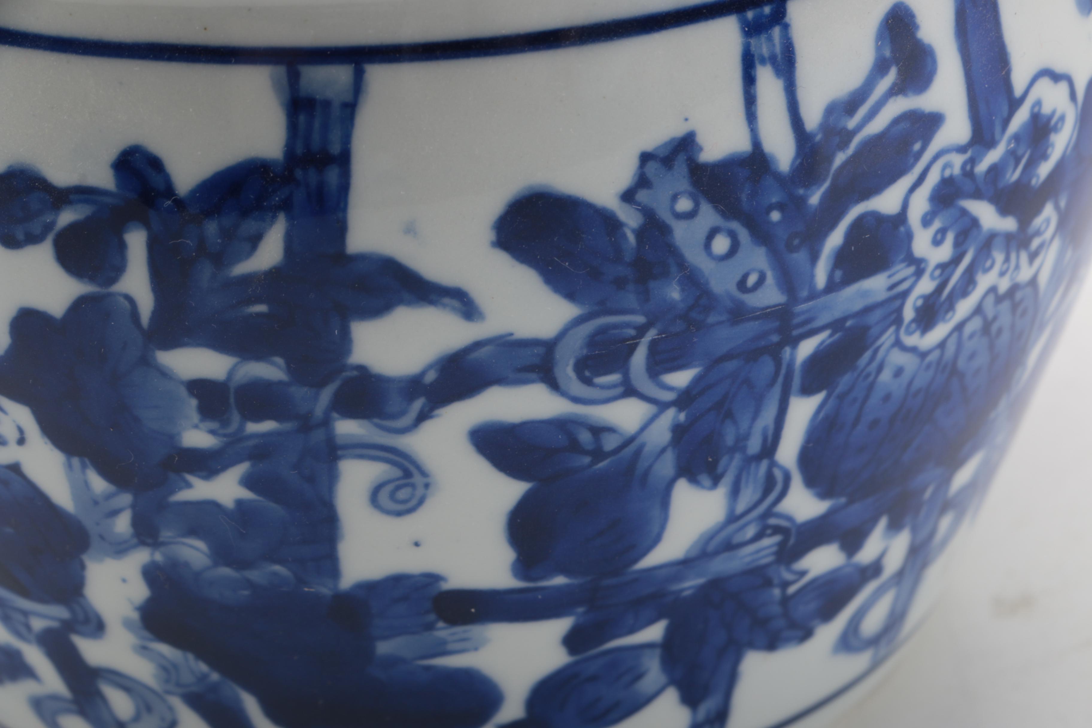 Blue and White Ceramic Planters