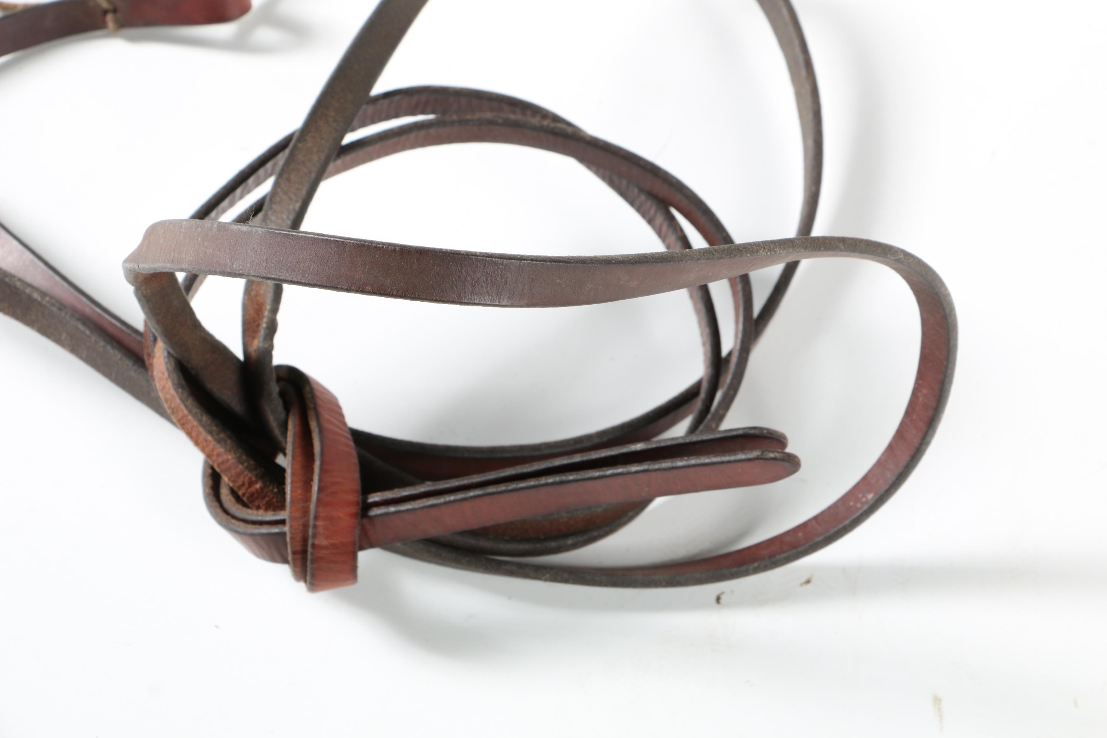 English and Western Bridles and Bits