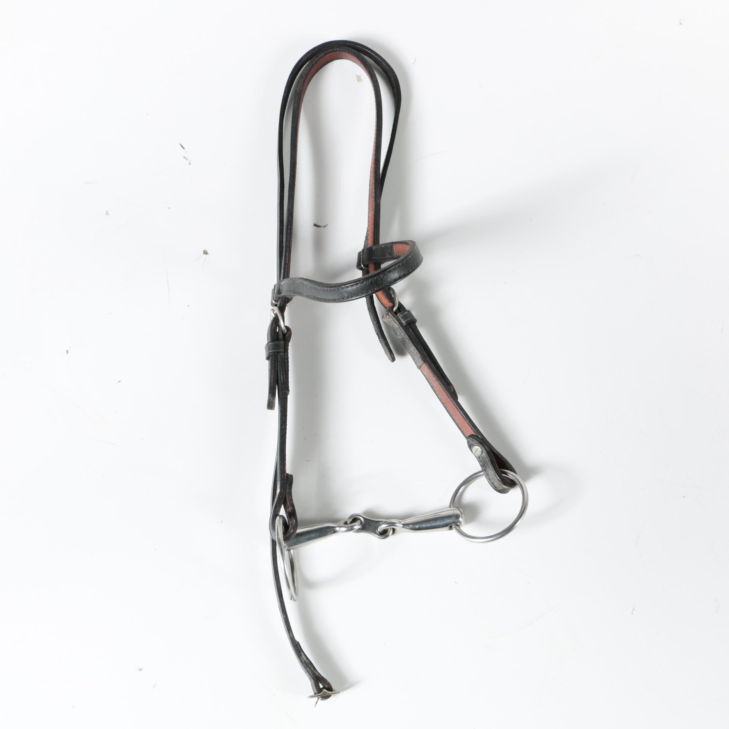 English and Western Bridles and Bits