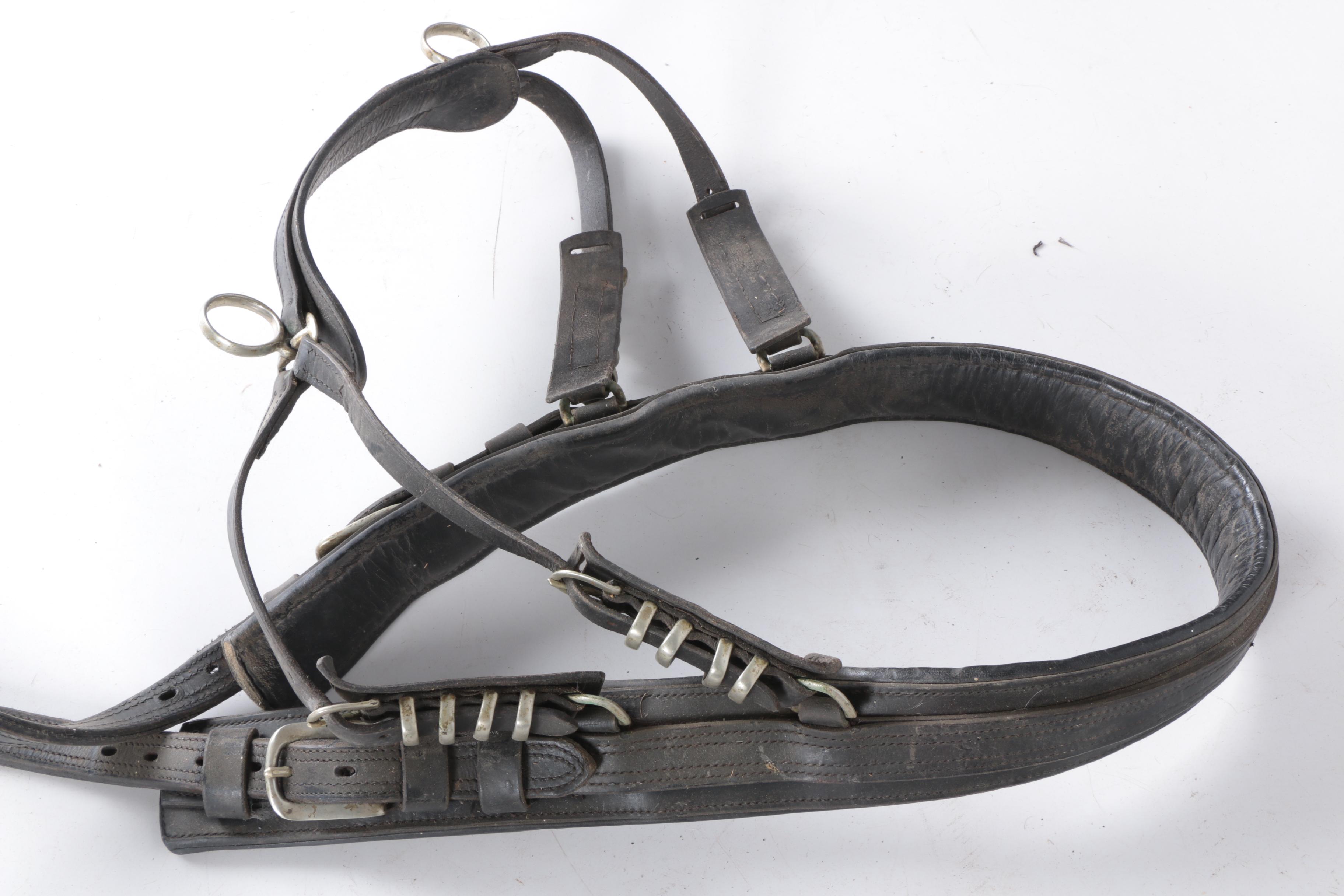 Equestrian Breast Collars