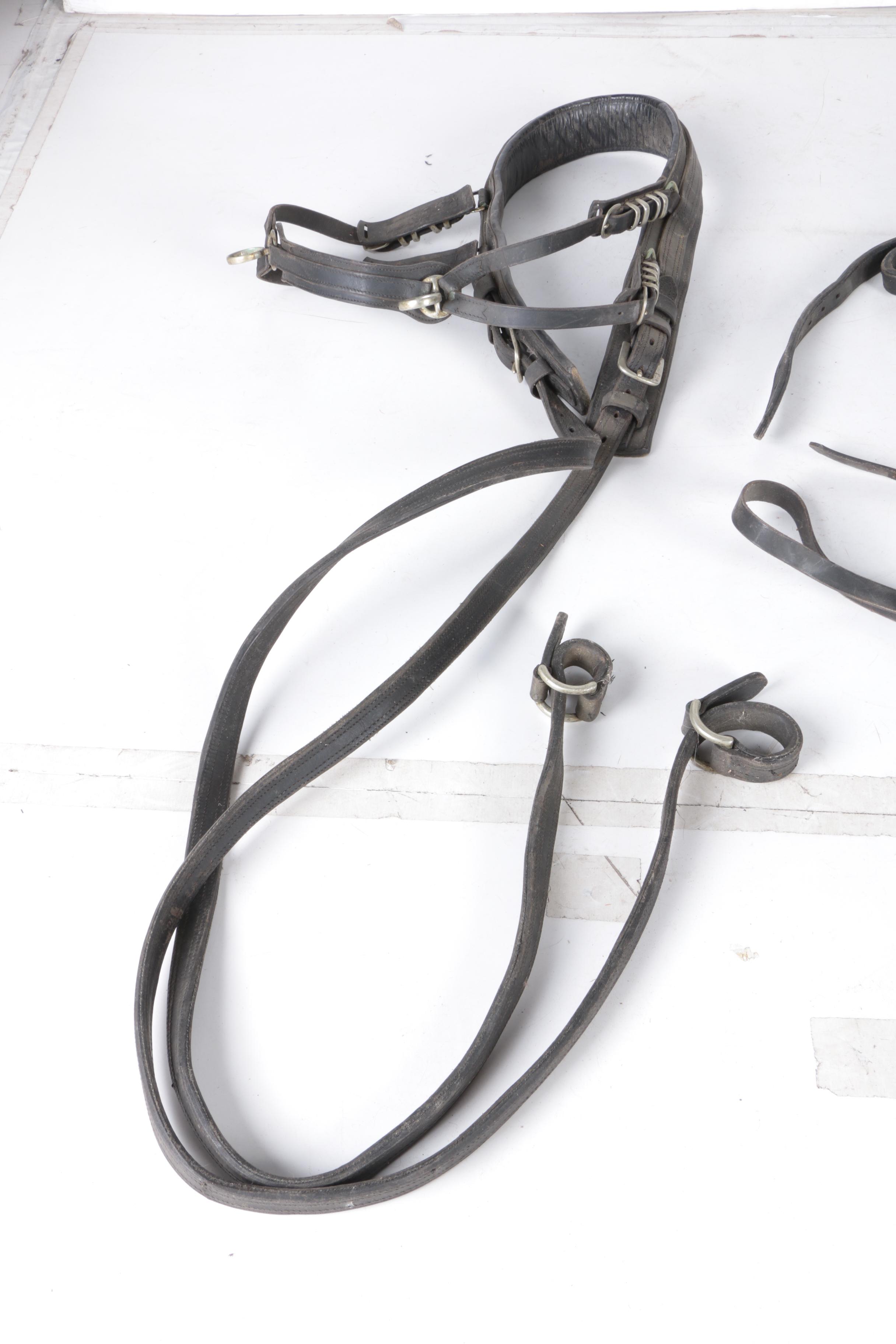 Equestrian Breast Collars