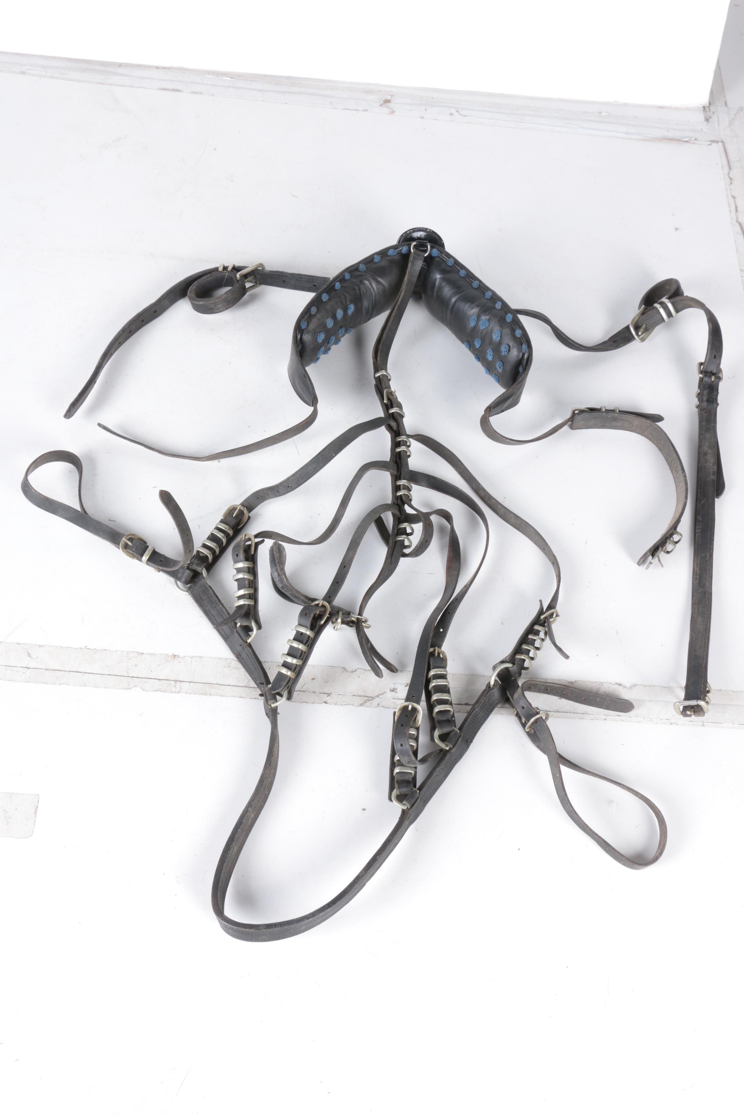 Equestrian Breast Collars