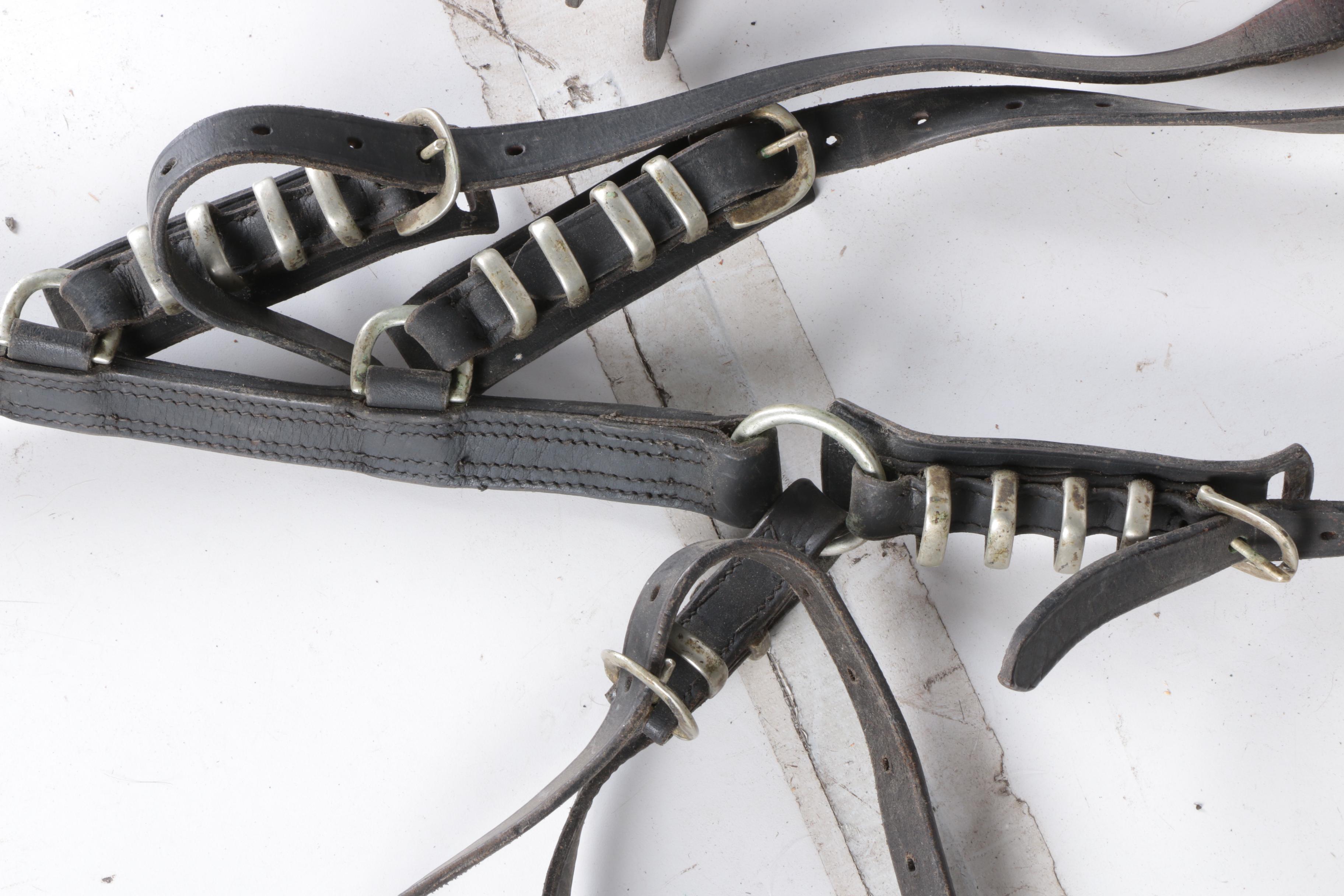 Equestrian Breast Collars