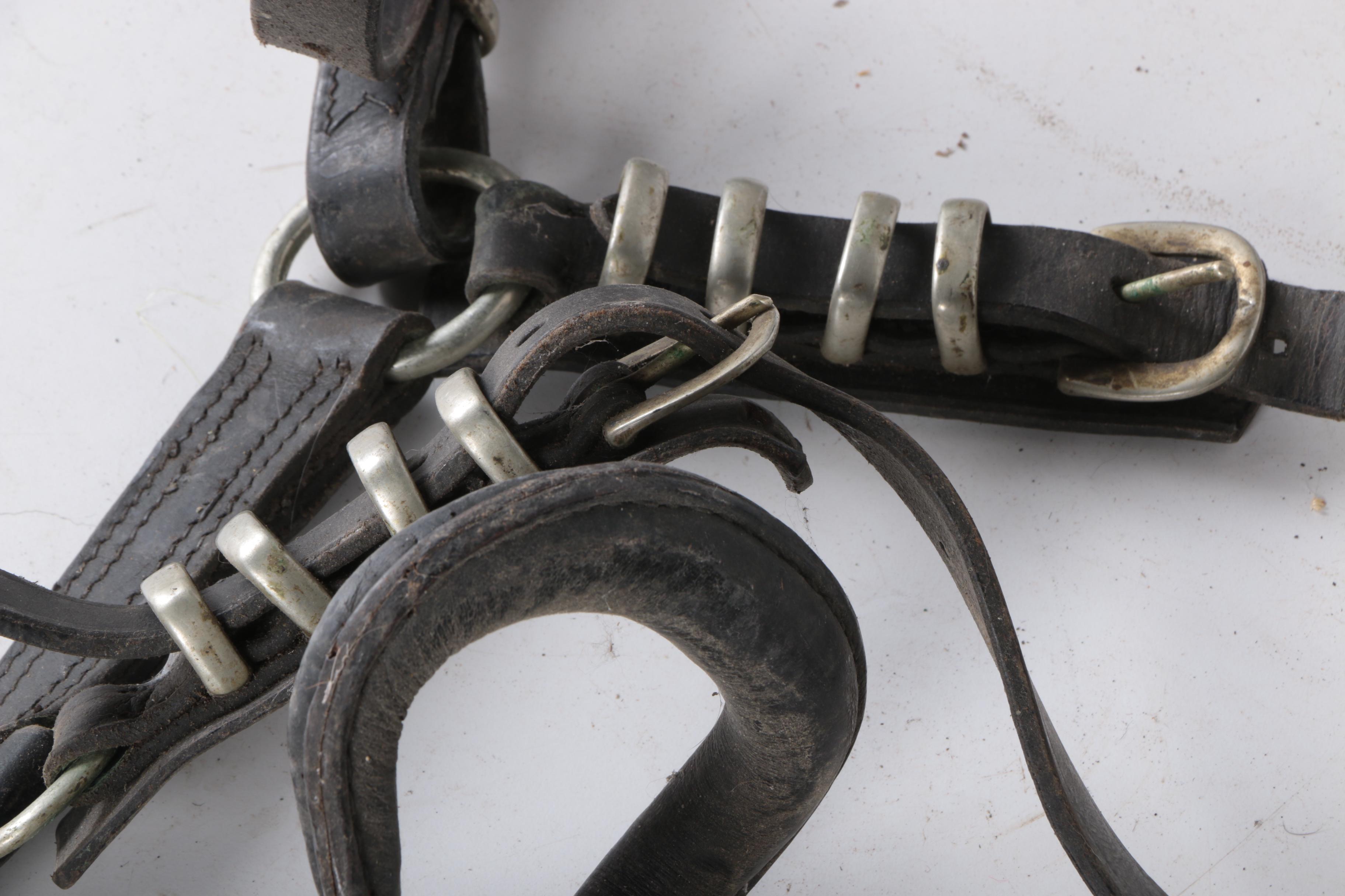 Equestrian Breast Collars