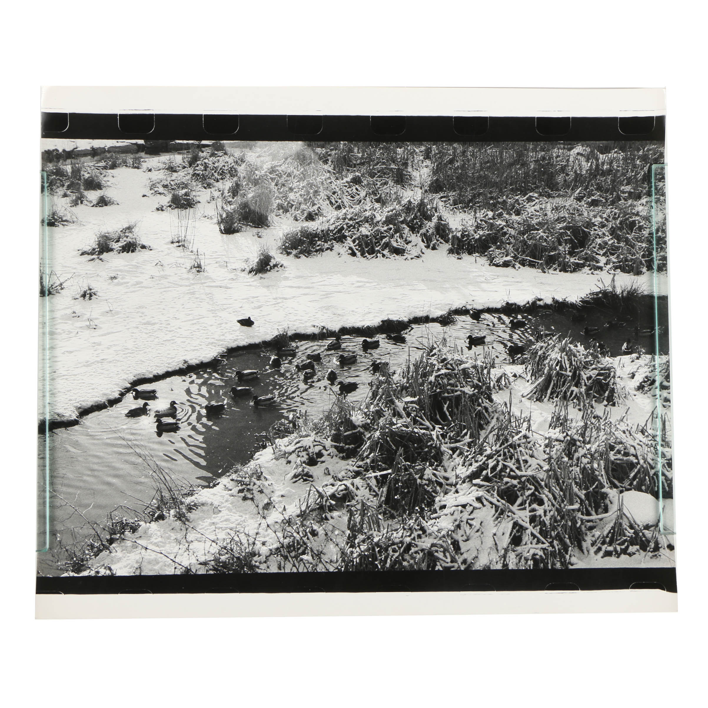 Don Werner Analog Photograph